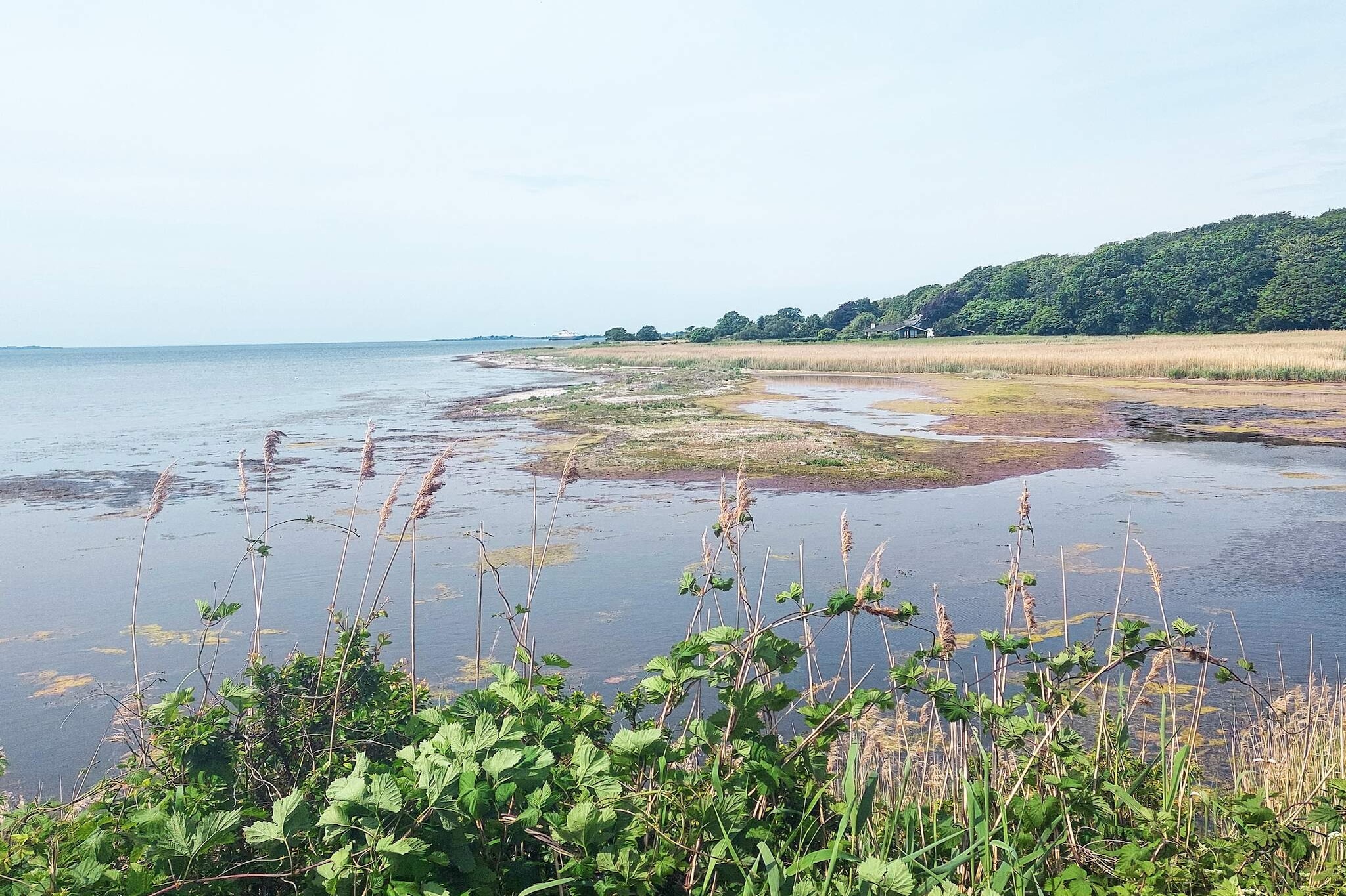 Maison de vacances pour 8 a Svendborg - Vue