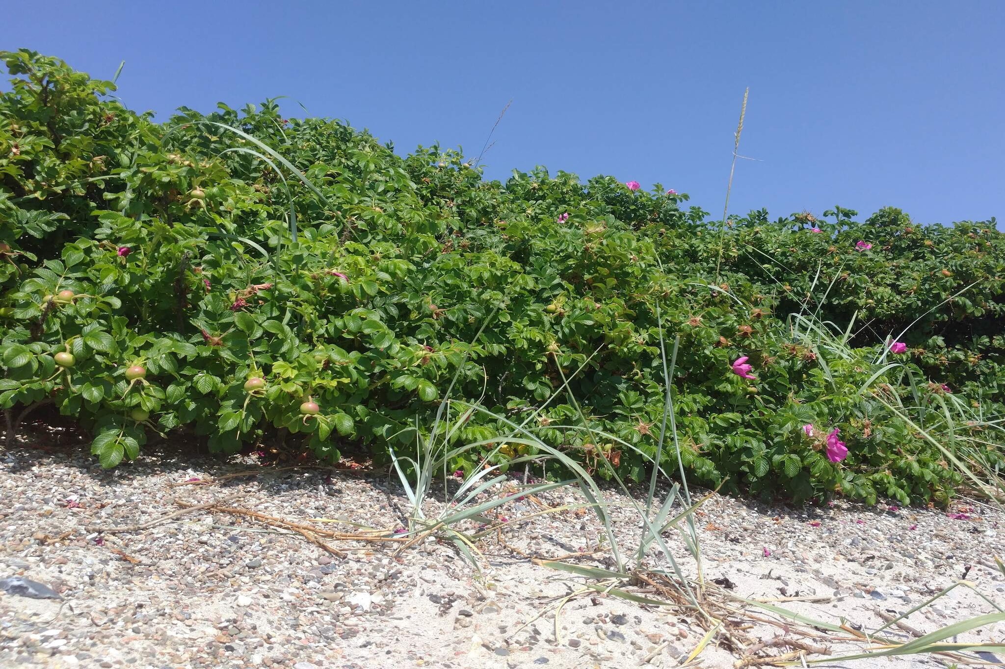 4 Personen Ferienhaus in Haderslev