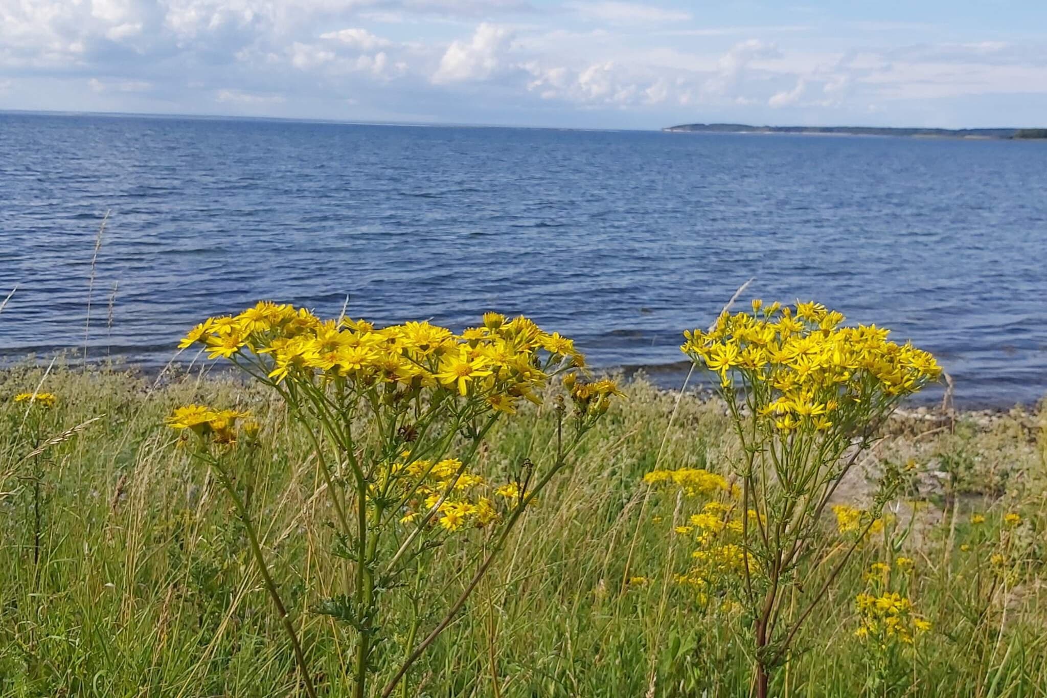 Schilderachtig Golfverblijf-By Traum-Waterzicht
