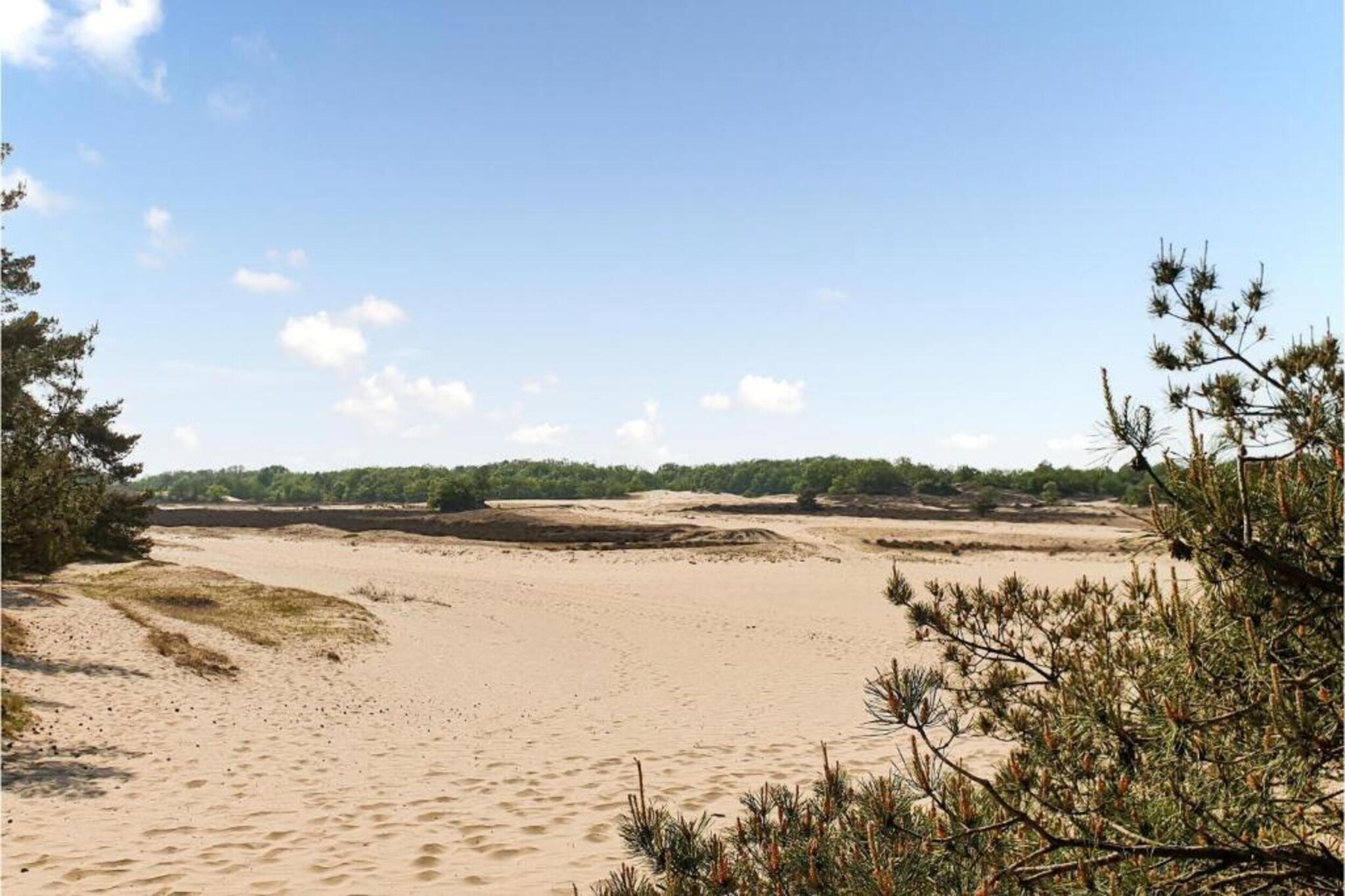 Recreatiepark Duinhoeve 10-Gebieden zomer 20km