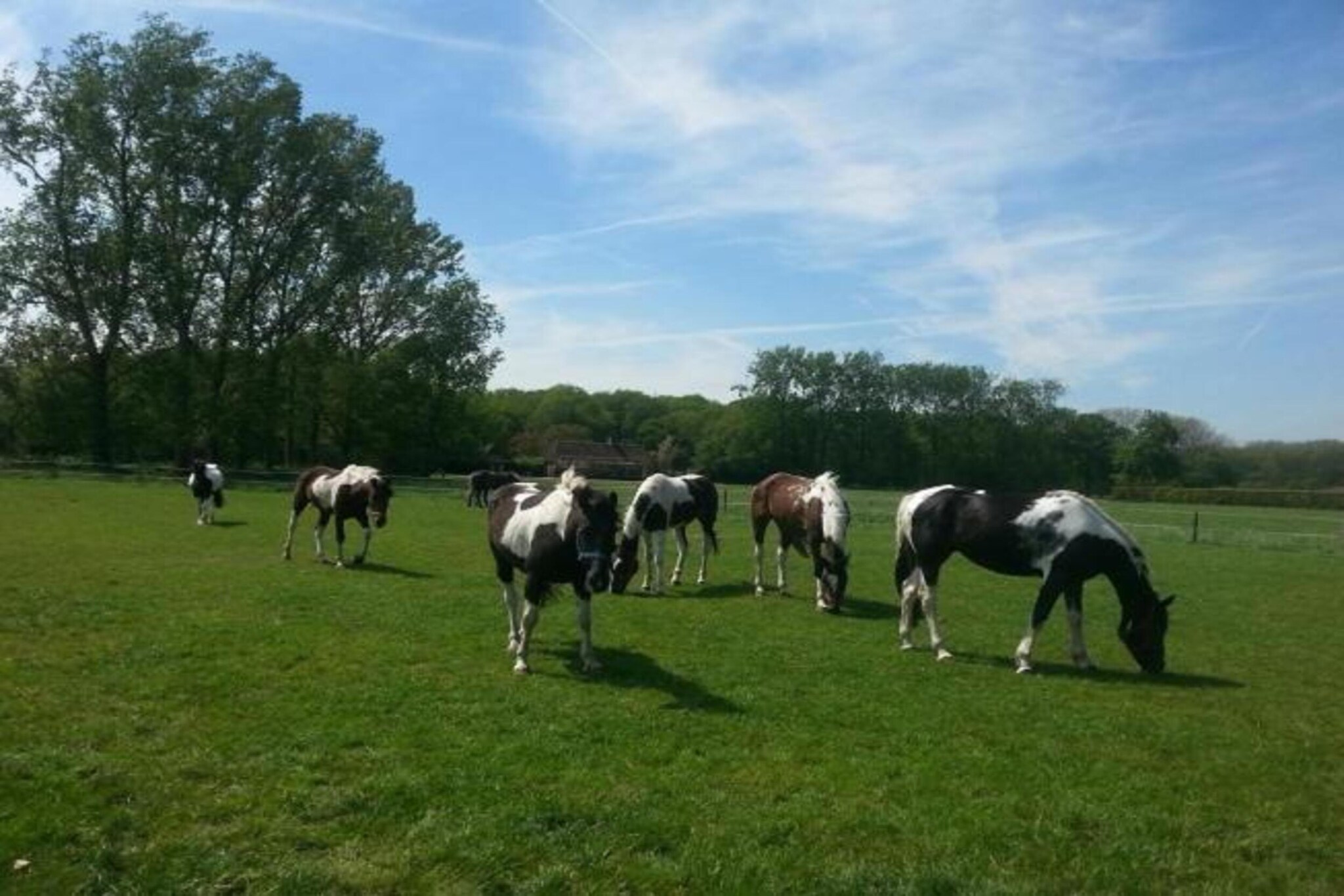Recreatiepark Duinhoeve 14-Gebieden zomer 20km