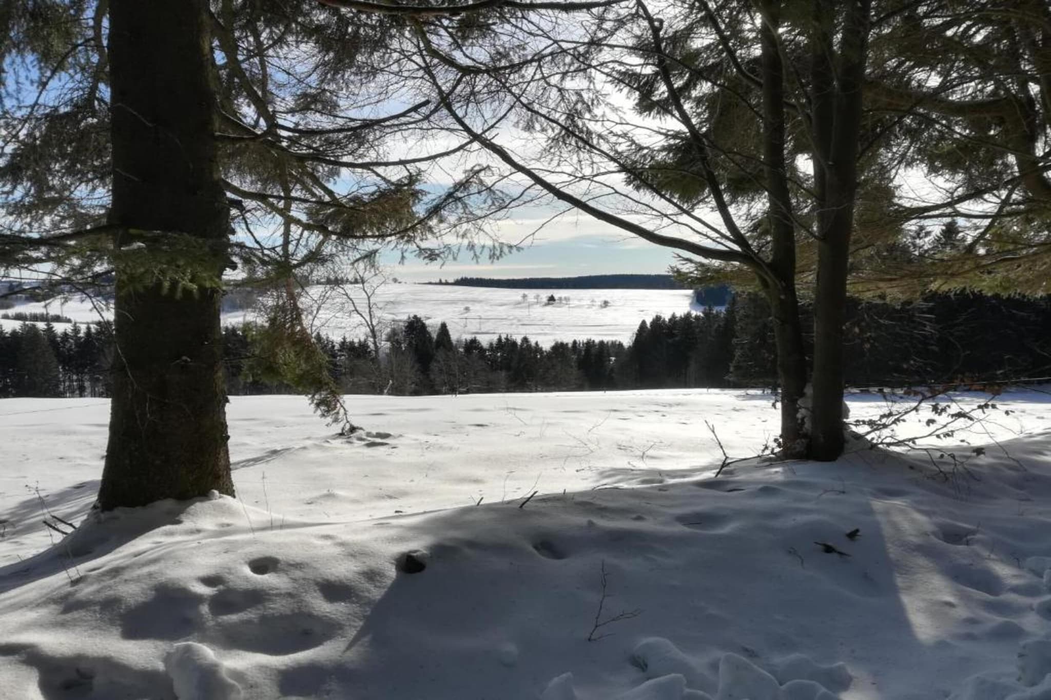 Appartement à Frauenwald près de Rennsteig-Zone d'hiver à 5 km