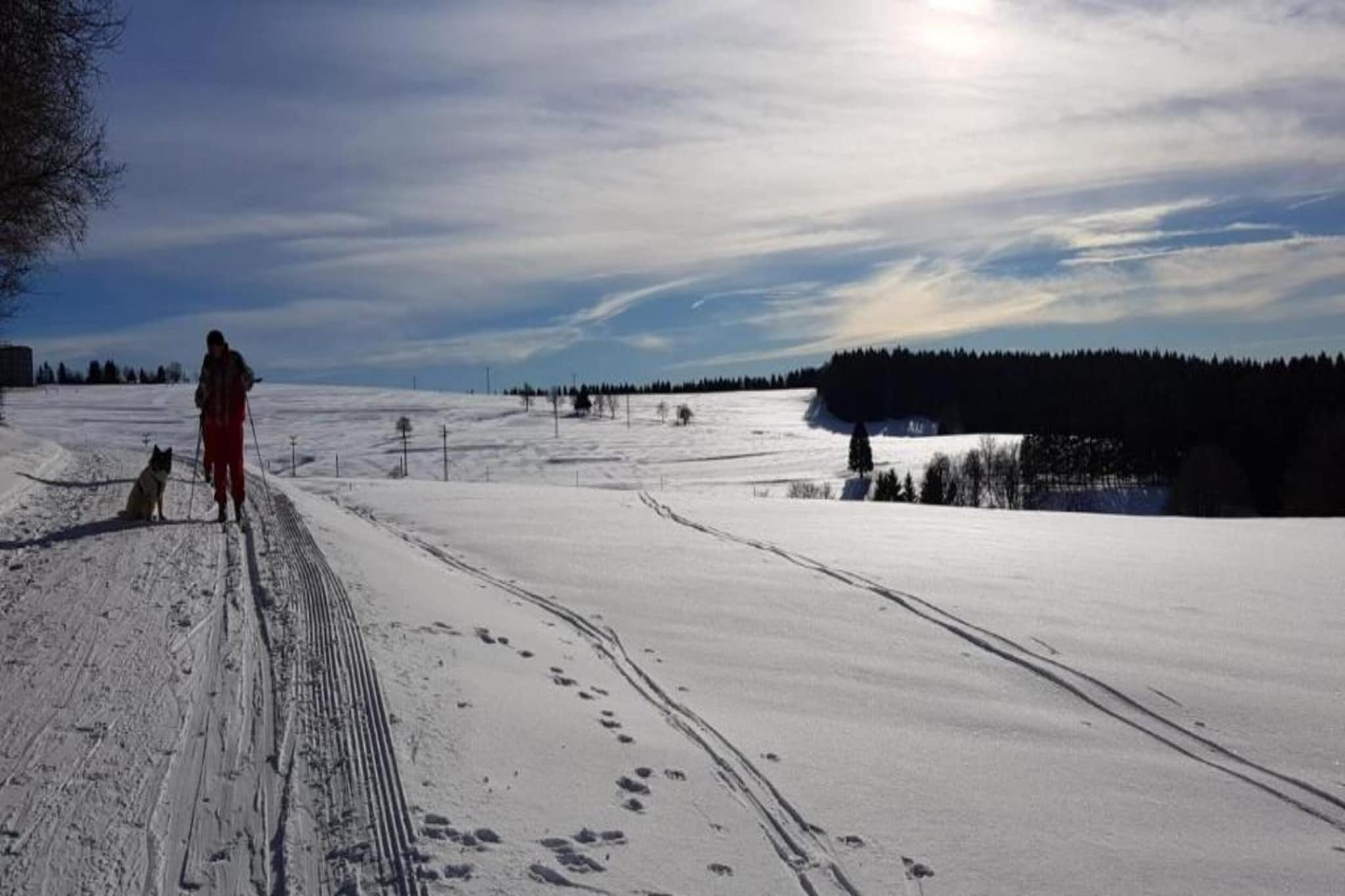 Appartement à Frauenwald près de Rennsteig-Zone d'hiver à 5 km