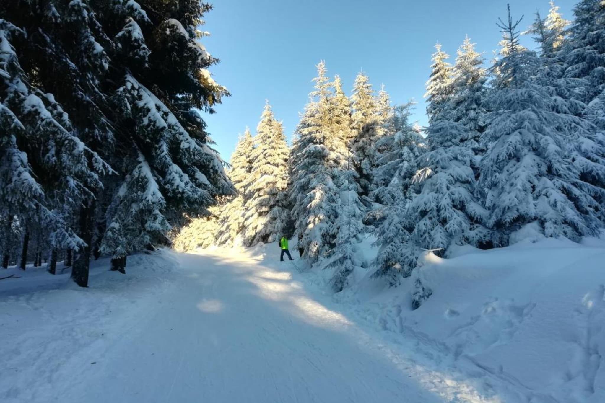 Appartement à Frauenwald près de Rennsteig-Zone d'hiver à 5 km