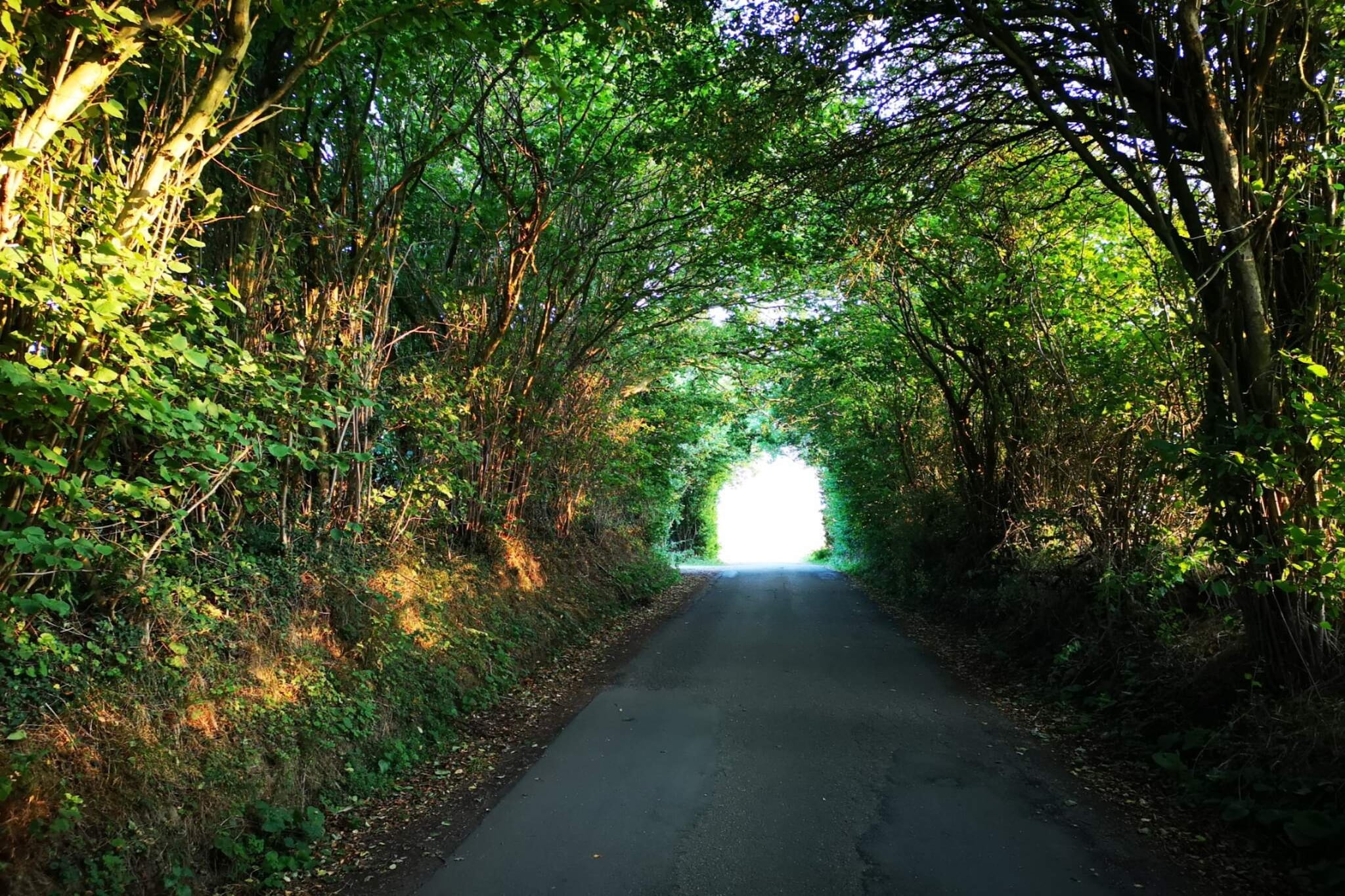 6 persoons vakantie huis in Hejls-Niet-getagd