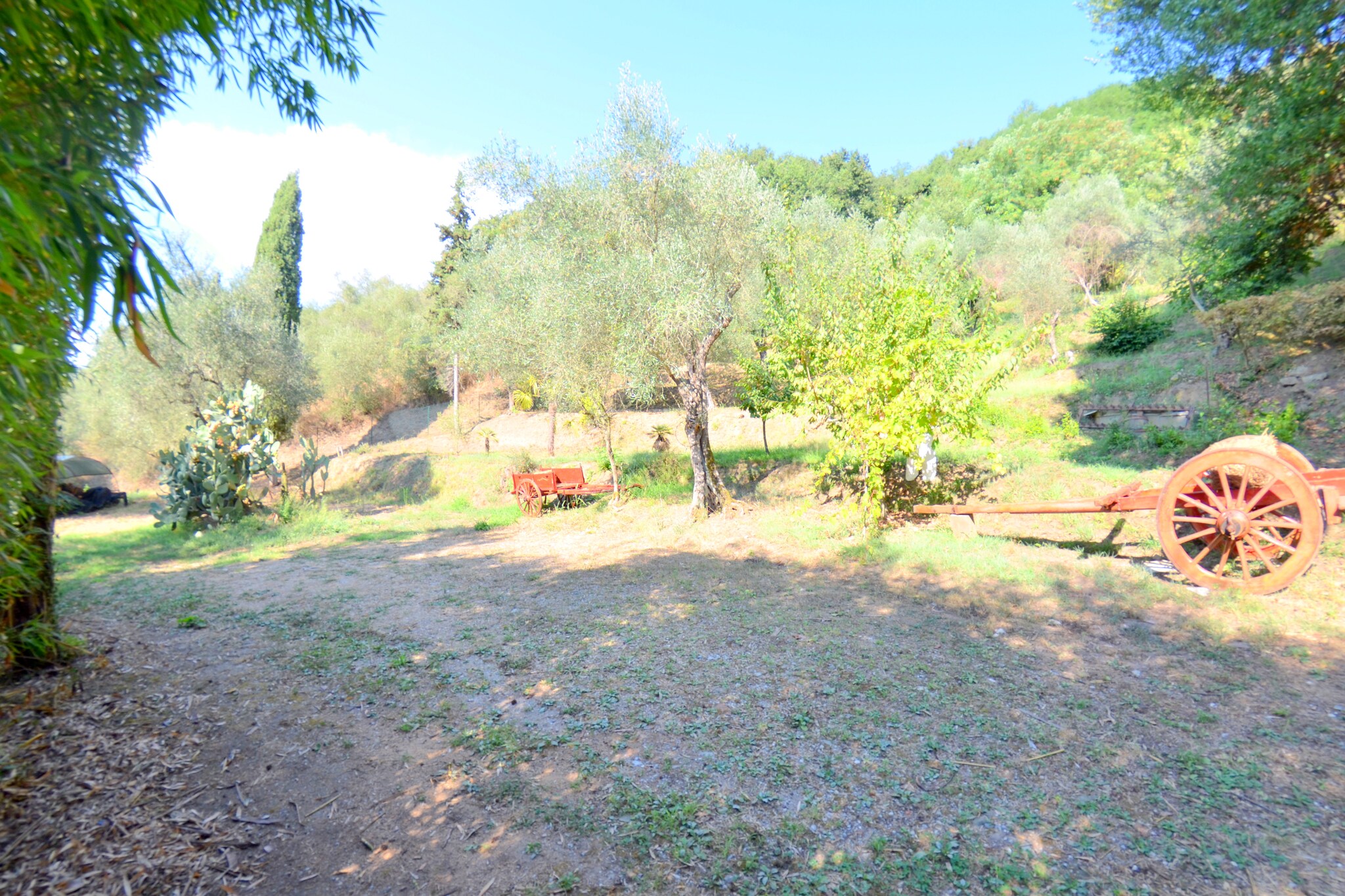 Collina Lagomare - Garten Sommer