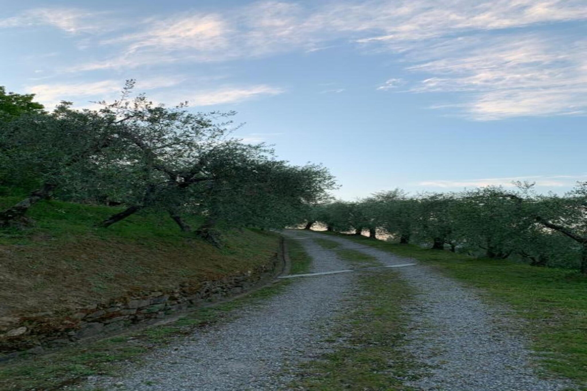 Collina Lagomare-Gebieden zomer 20km