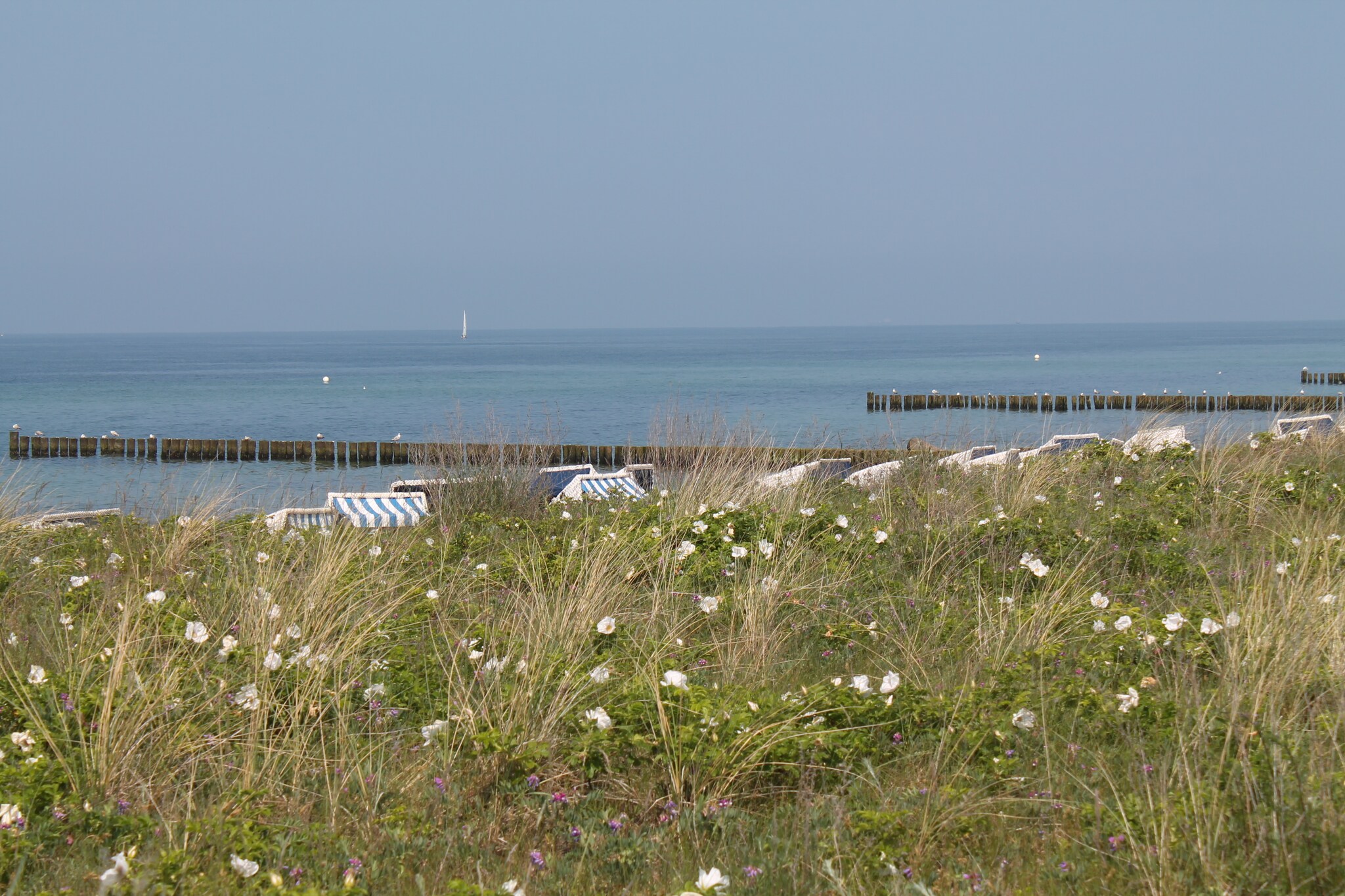 Kühlungsblick-Gebieden zomer 5km