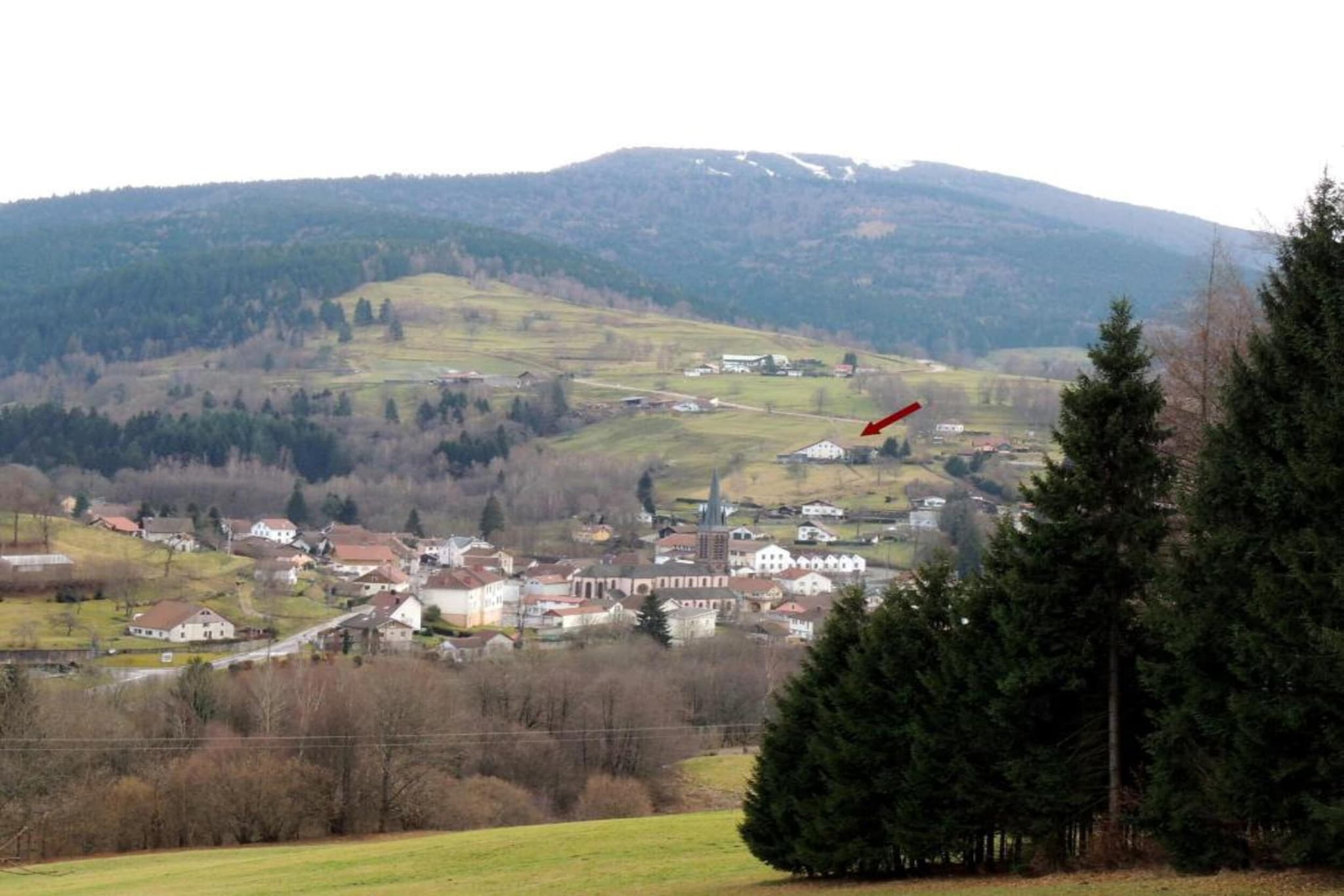 Appartement L'herrison - Saint-Maurice-sur-Moselle-Gebieden zomer 20km