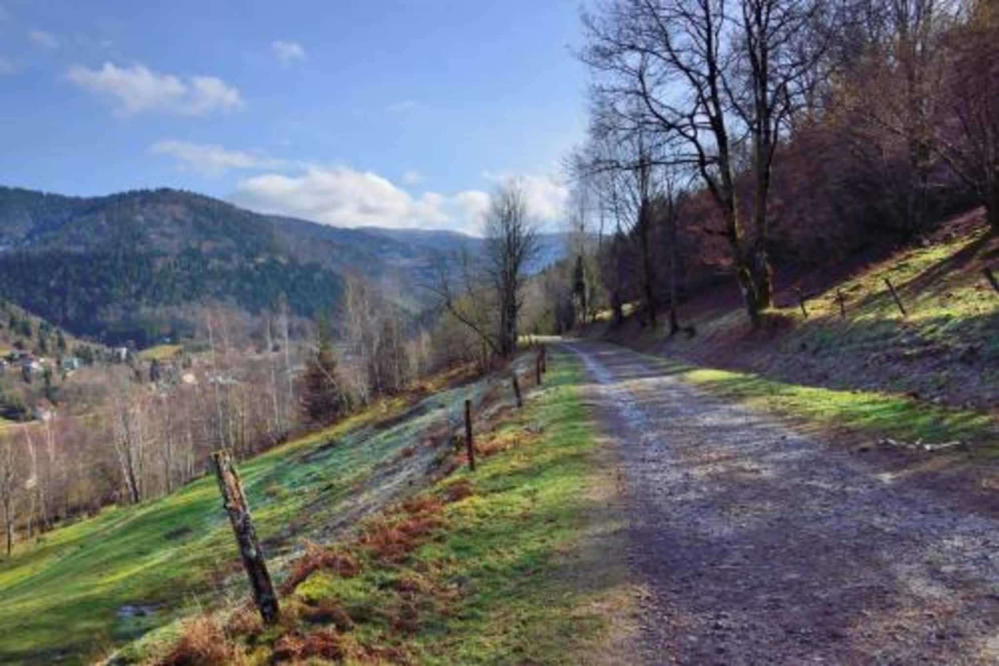Appartement L'herrison - Saint-Maurice-sur-Moselle-Gebieden zomer 20km
