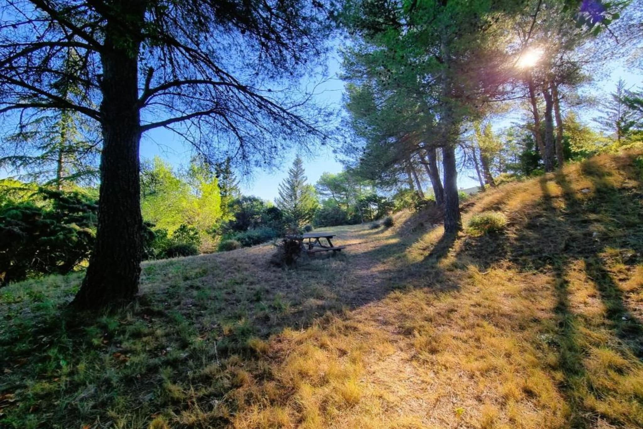 Aux Arbres Verts-Gebieden zomer 5km