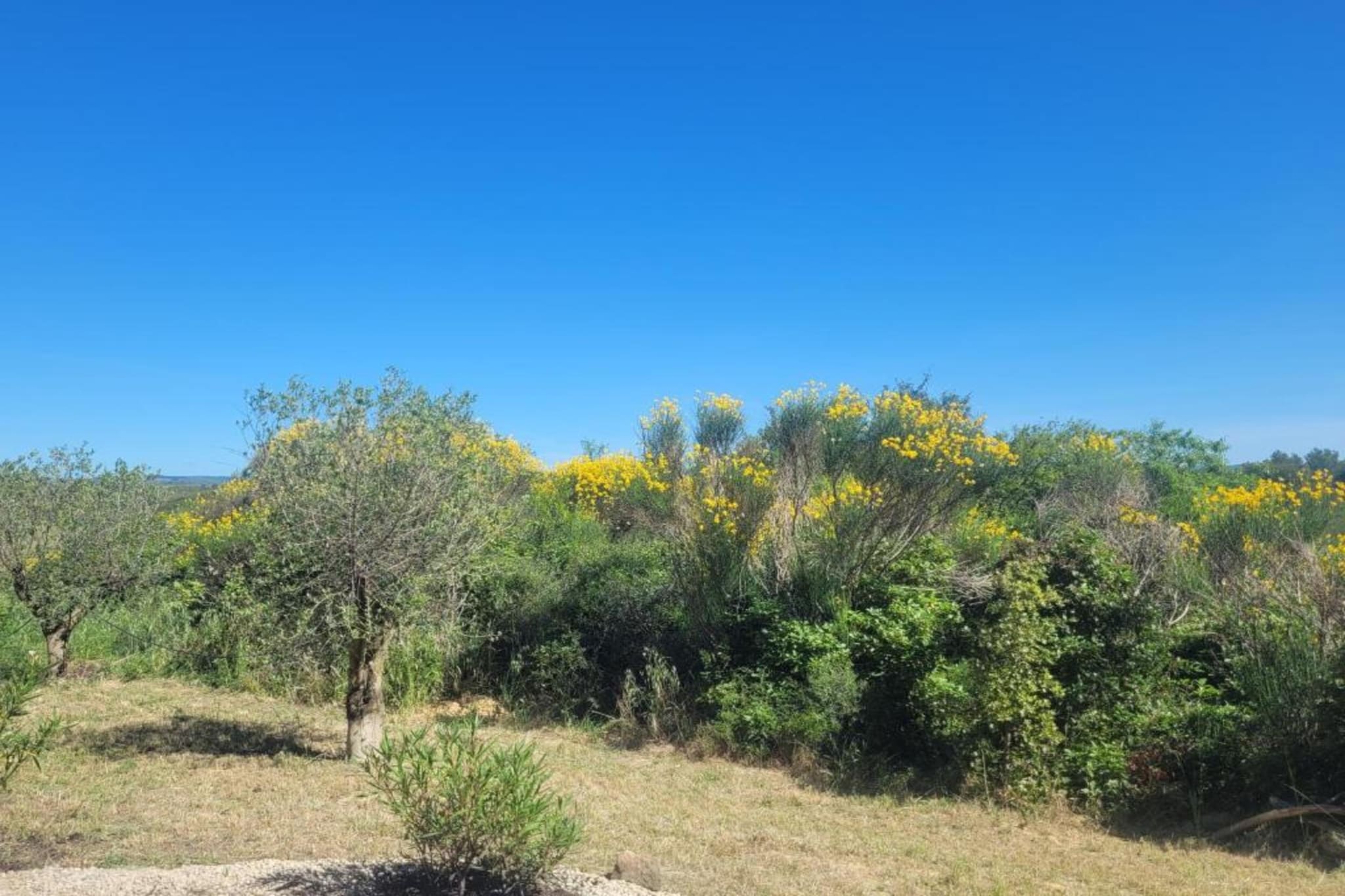 Villa Canissa-Areas summer 5km