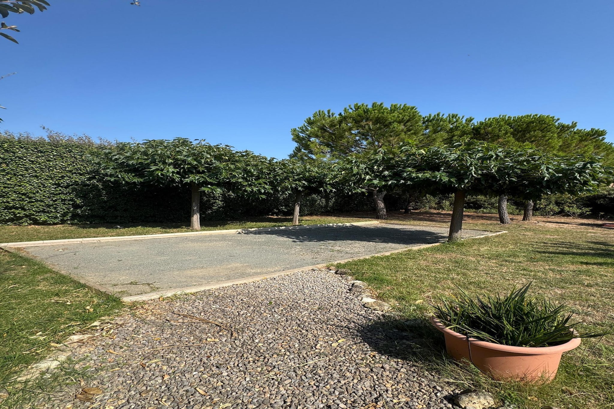 Villa l'Olivier-Jardins en été