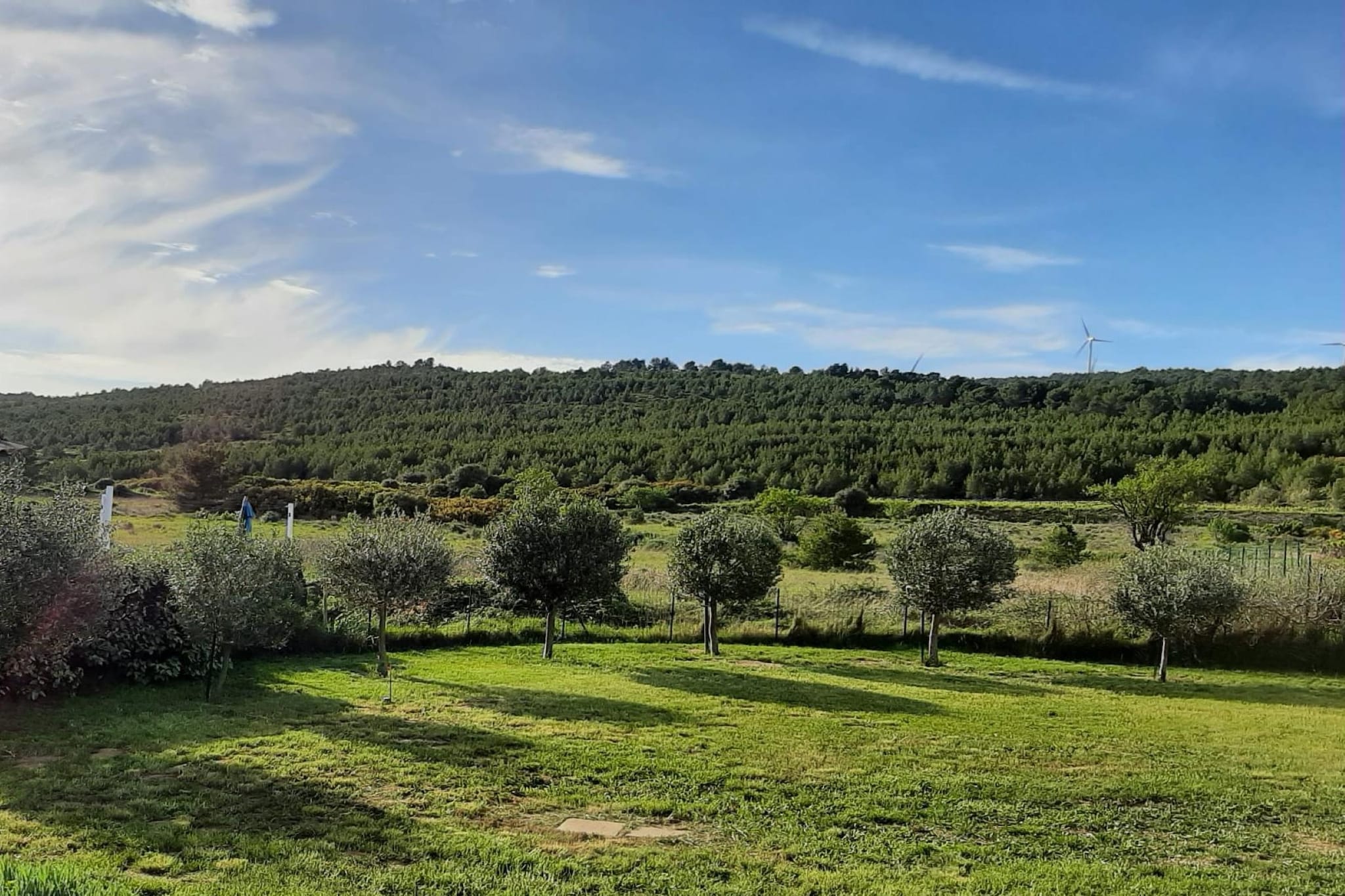 Villa l'Olivier - Aussicht Sommer