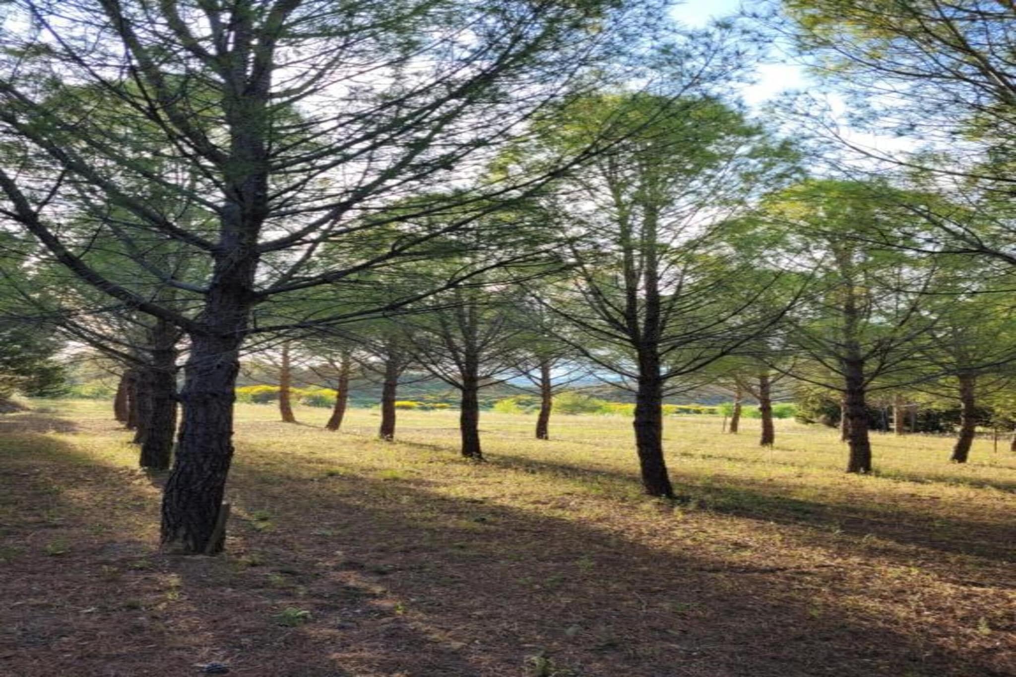 La Cave-Gebieden zomer 5km