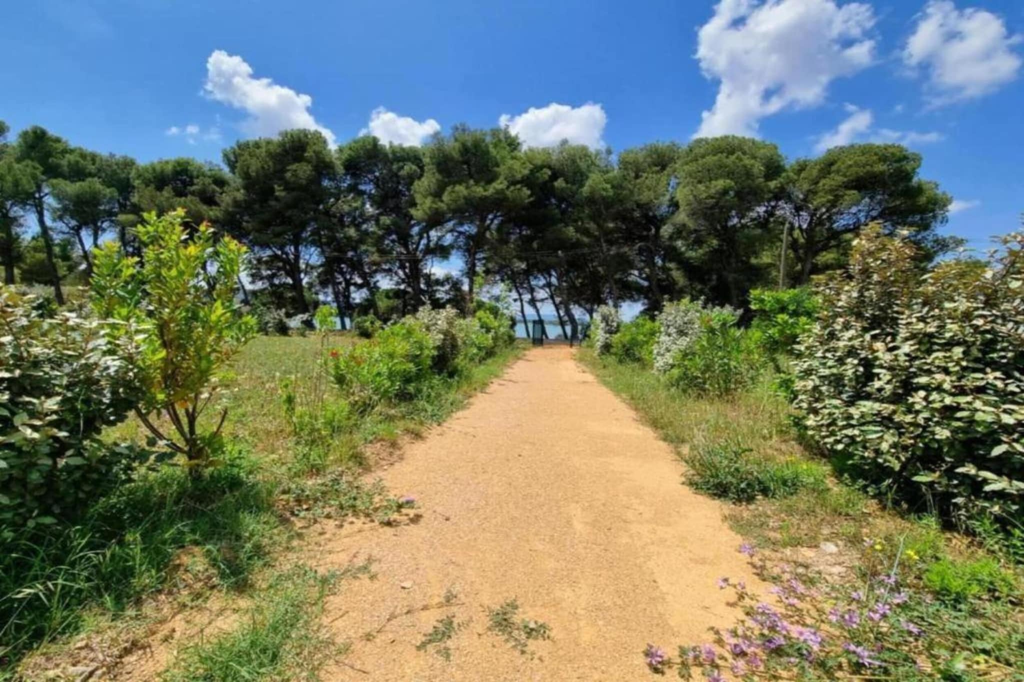 La Cave-Gebieden zomer 5km