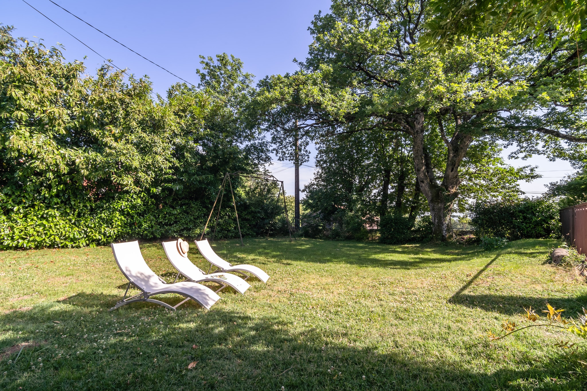 Garden Summer