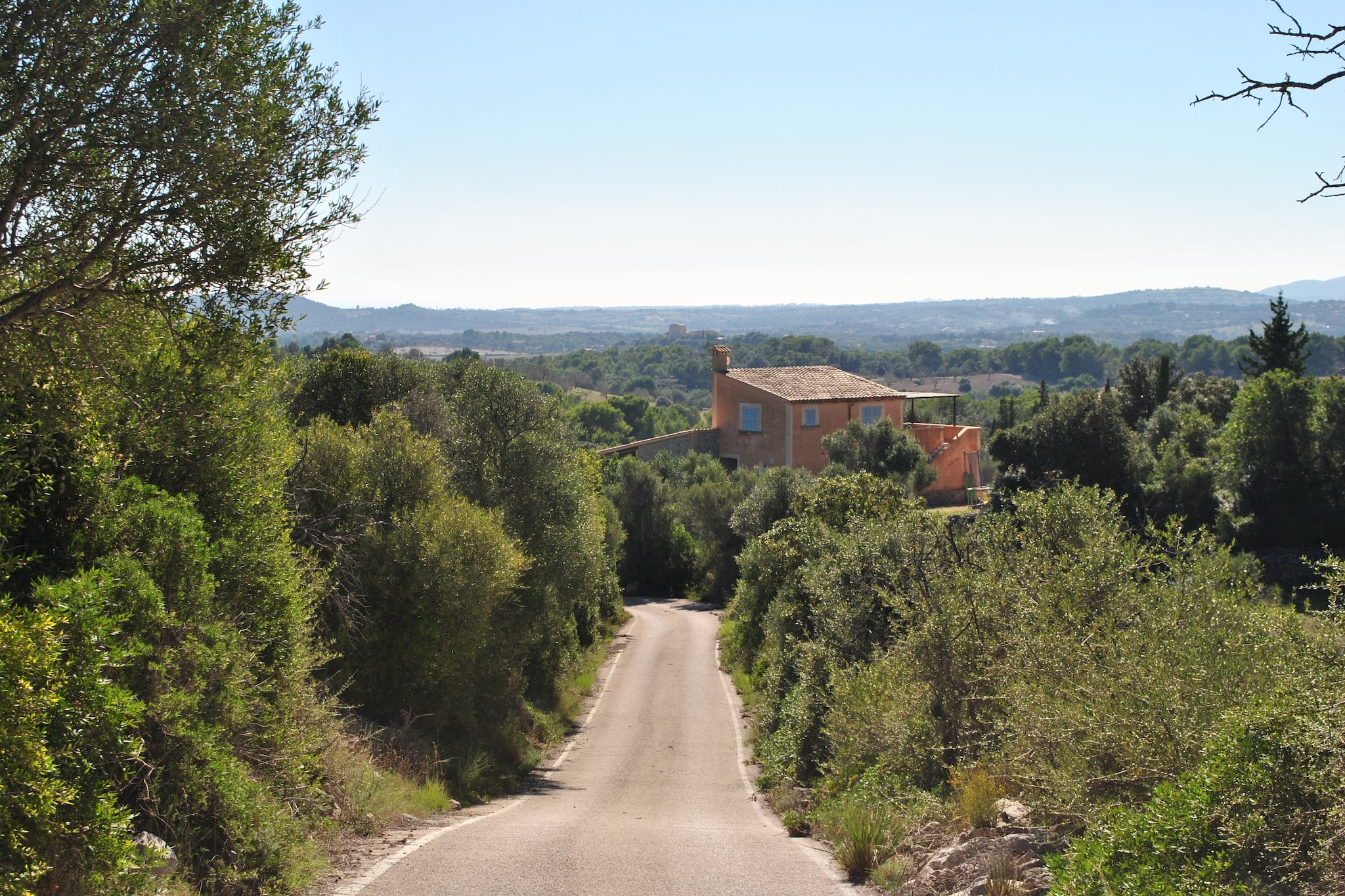 Son Drago-Gebiete Sommer 1 km