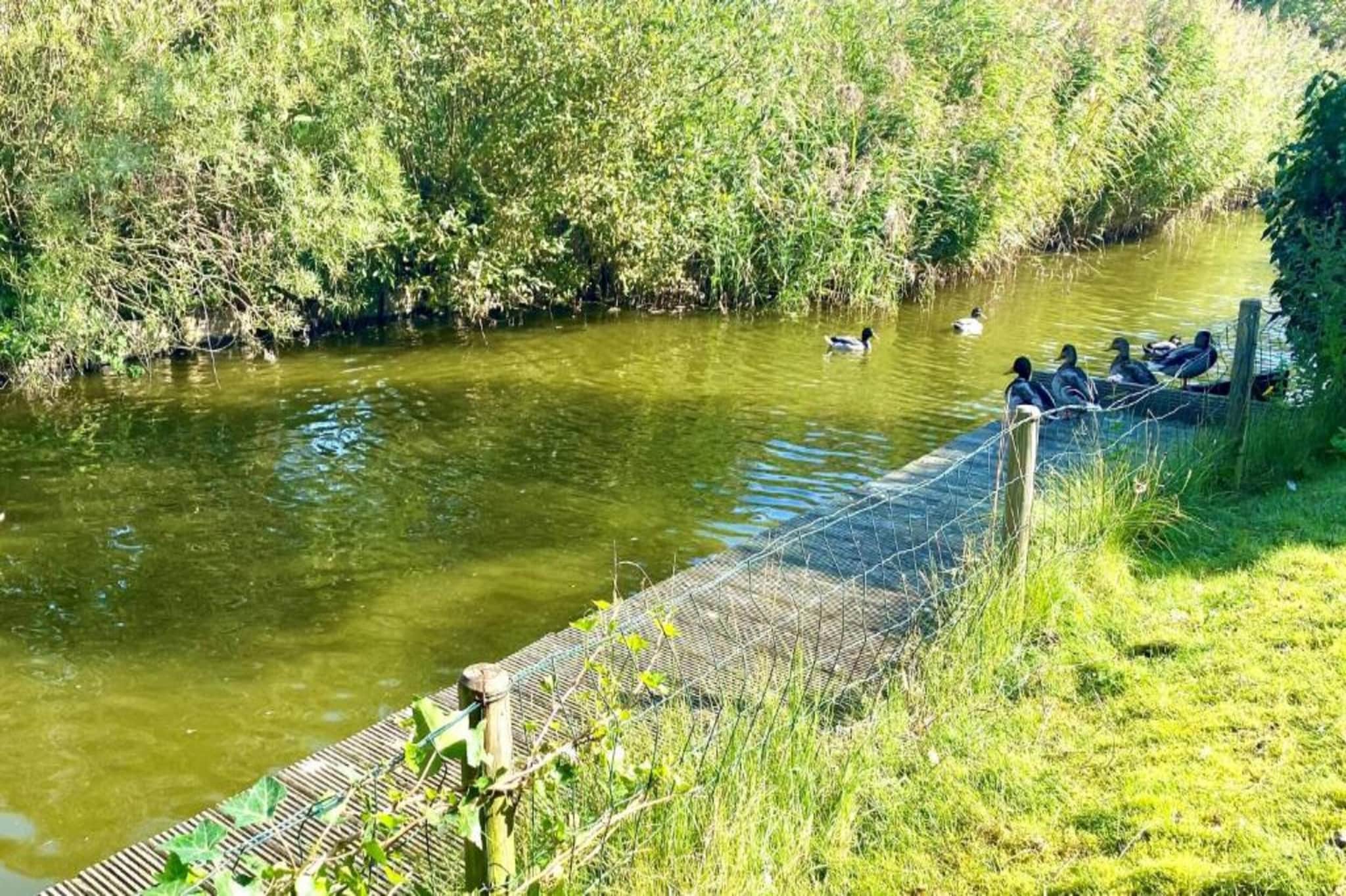 Vakantiepark Zeebad 4-Gebieden zomer 5km