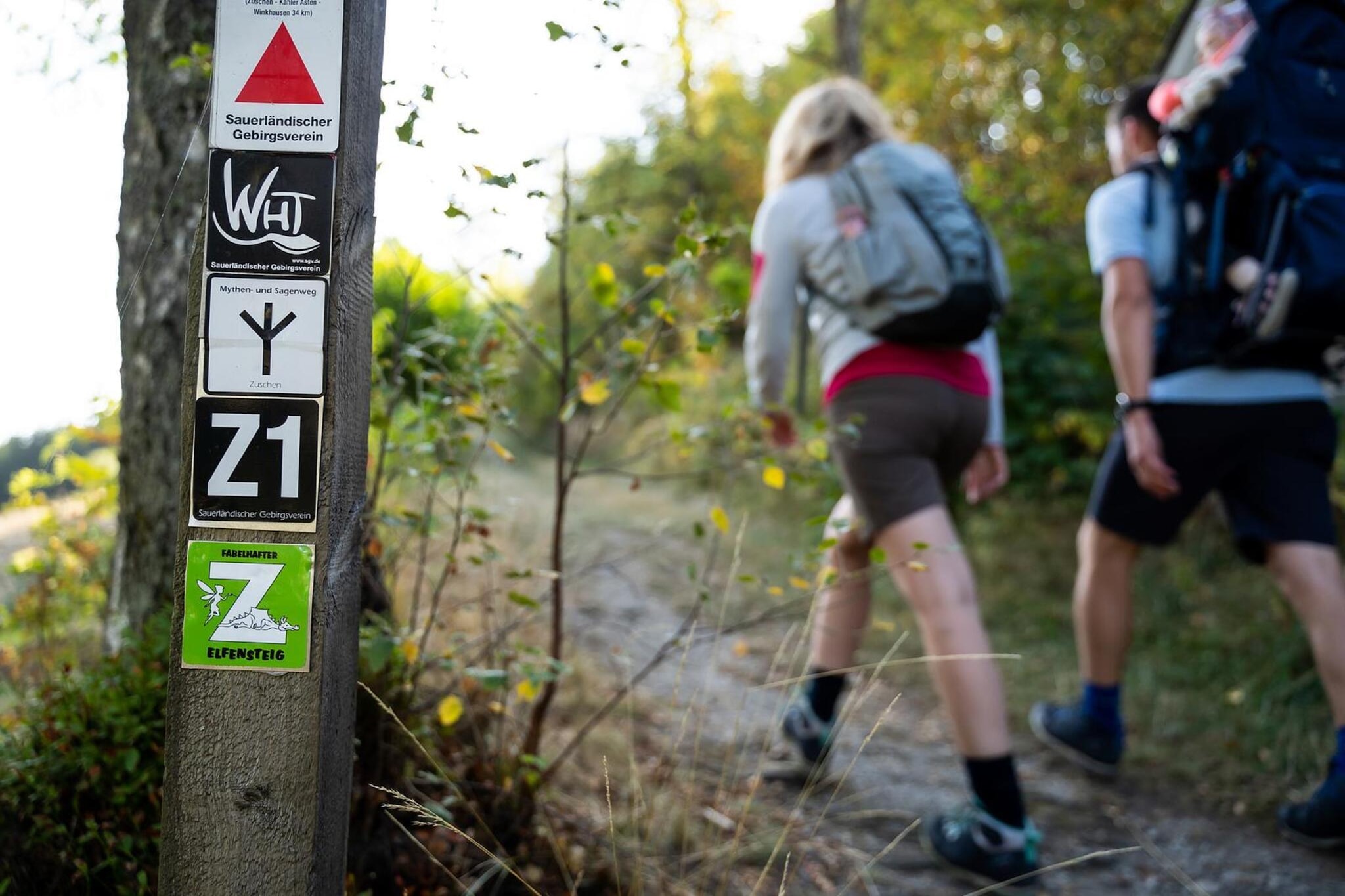 Golfhof 7 - Zones été à 5 km
