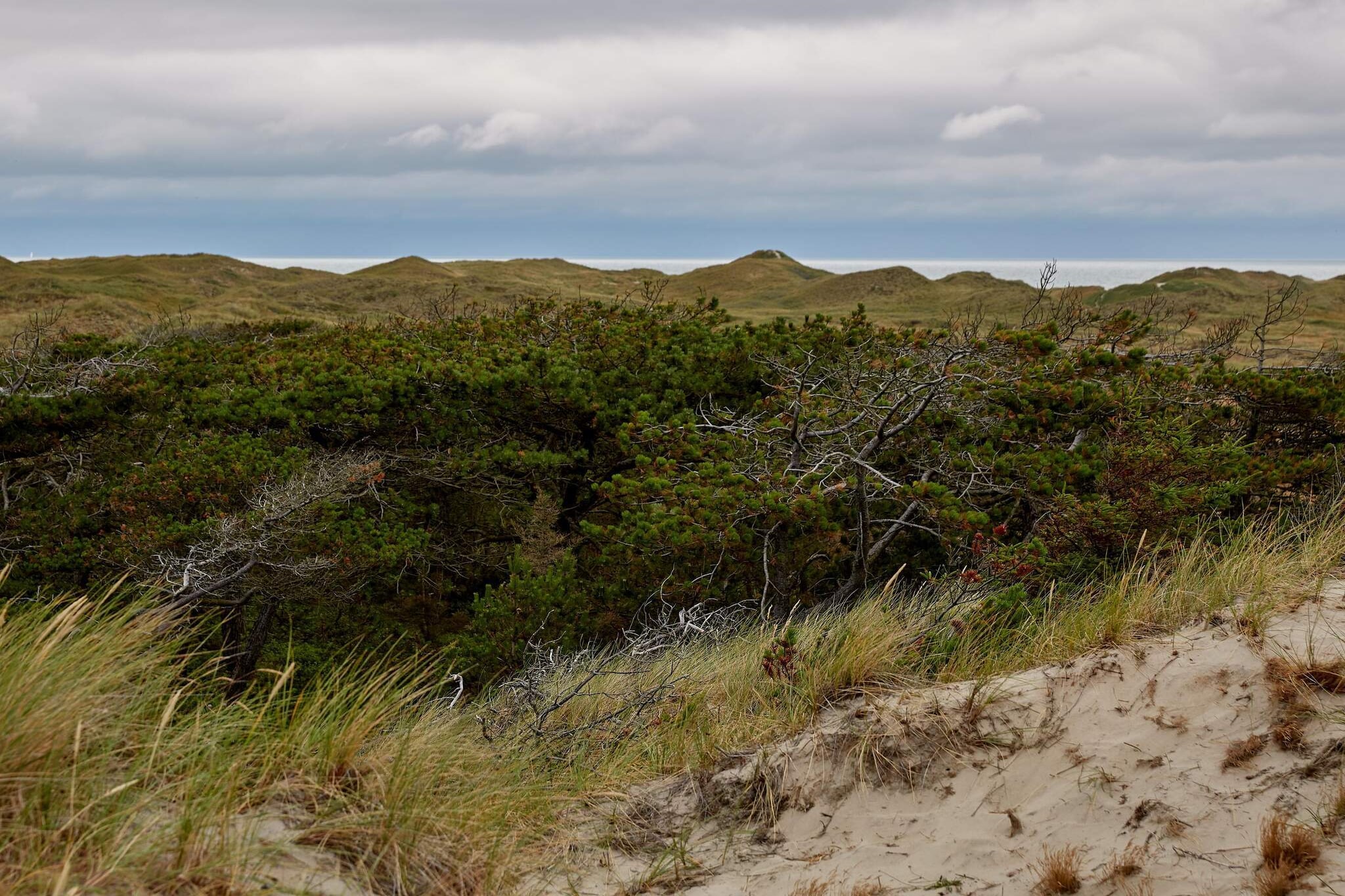 4 Personen Ferienhaus in Ulfborg