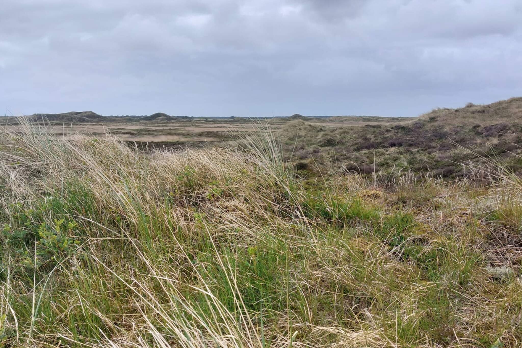 4 Personen Ferienhaus in Ulfborg-Nicht zugeordnet