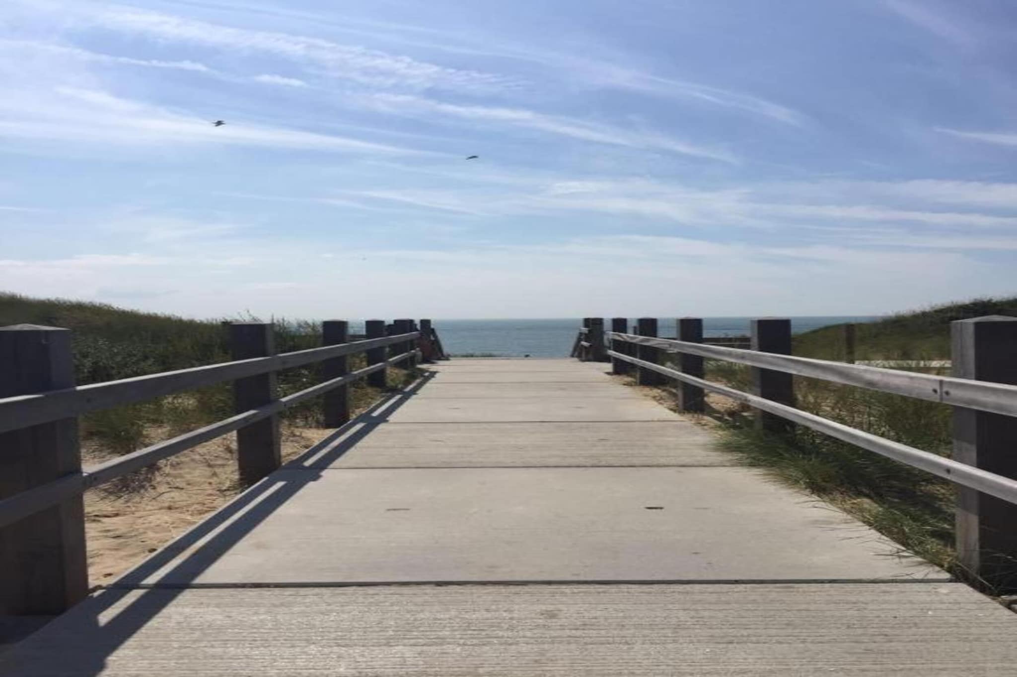 Pleinzicht 6b-Gebieden zomer 20km