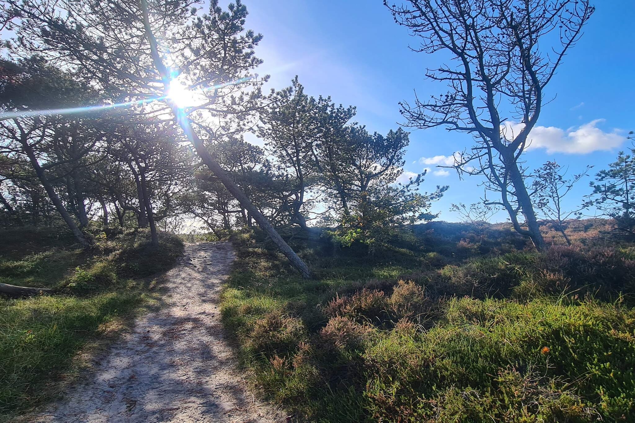 Maison de vacances pour 5 a Rømø-Non tagué