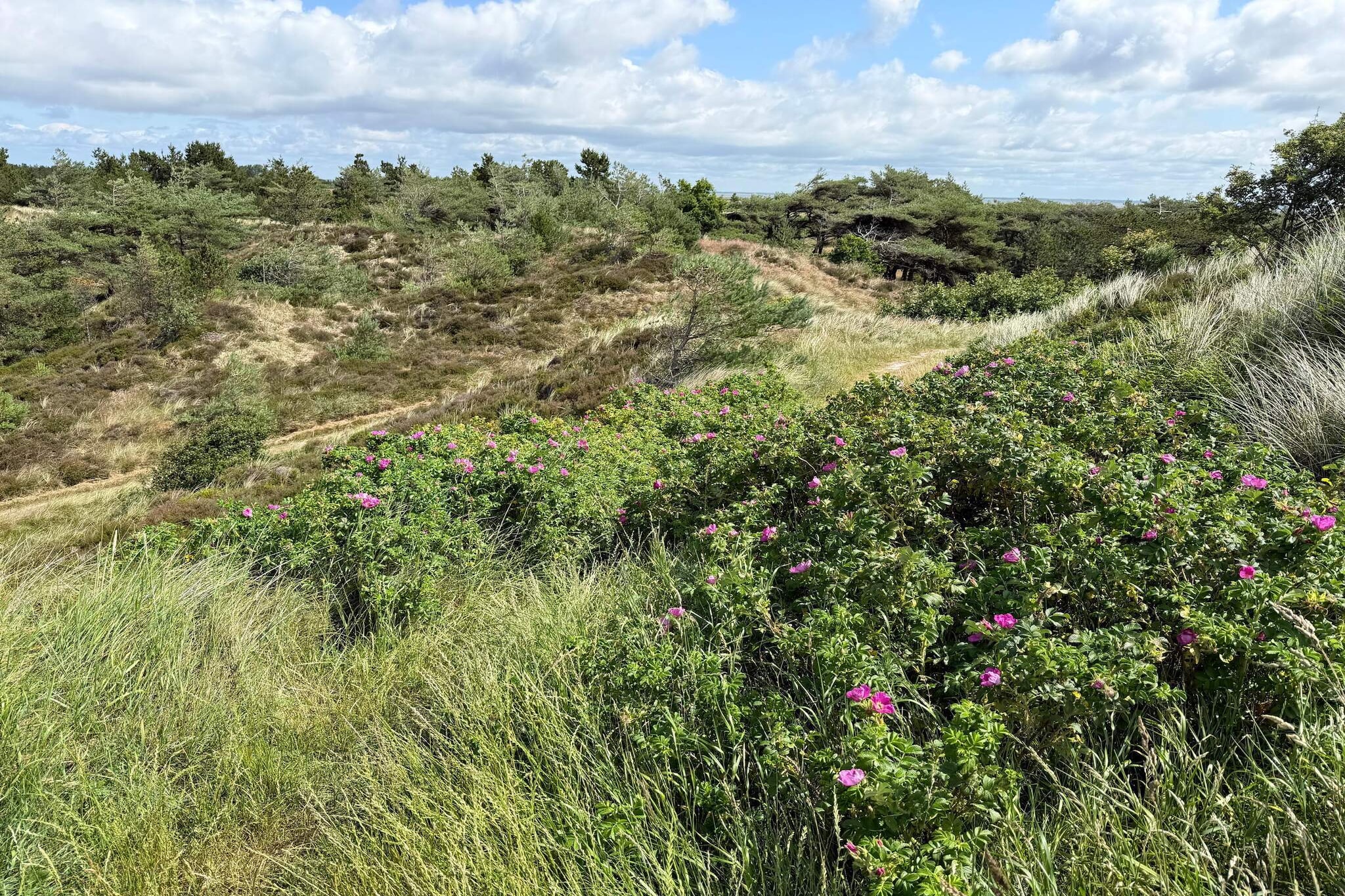 Maison de vacances pour 5 a Rømø-Non tagué