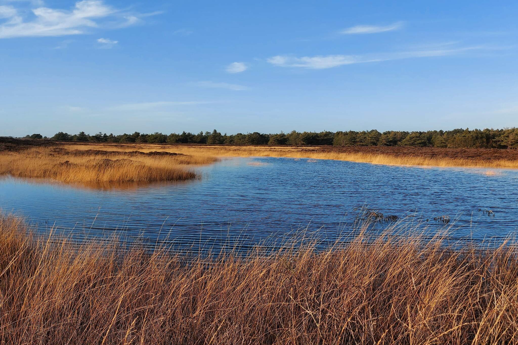 Maison de vacances pour 5 a Rømø-Vue sur l'eau
