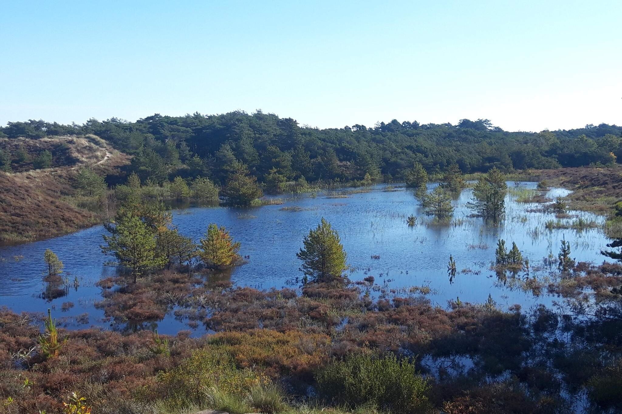 Maison de vacances pour 5 a Rømø-Vue sur l'eau