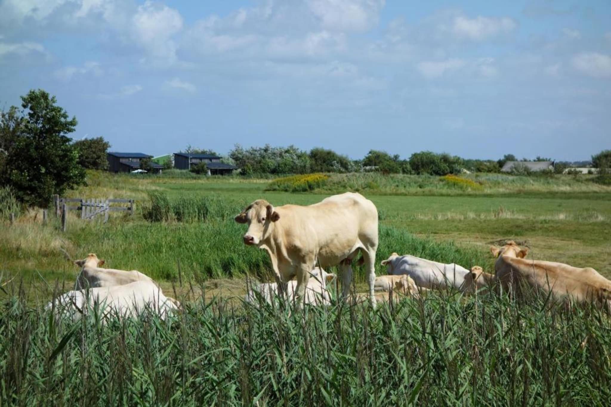 Vakantiepark Callassande 3-Gebieden zomer 20km