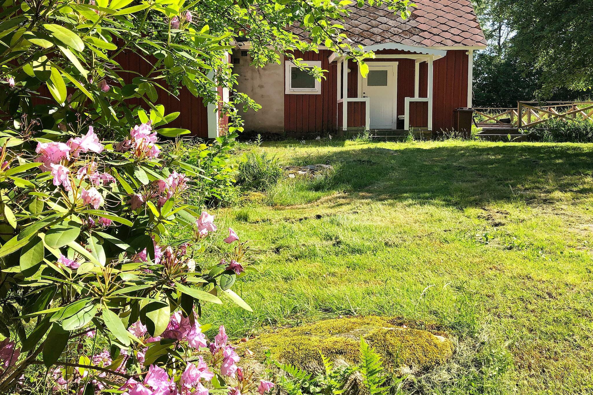 6 persoons vakantie huis in Hallabro - Buitenlucht