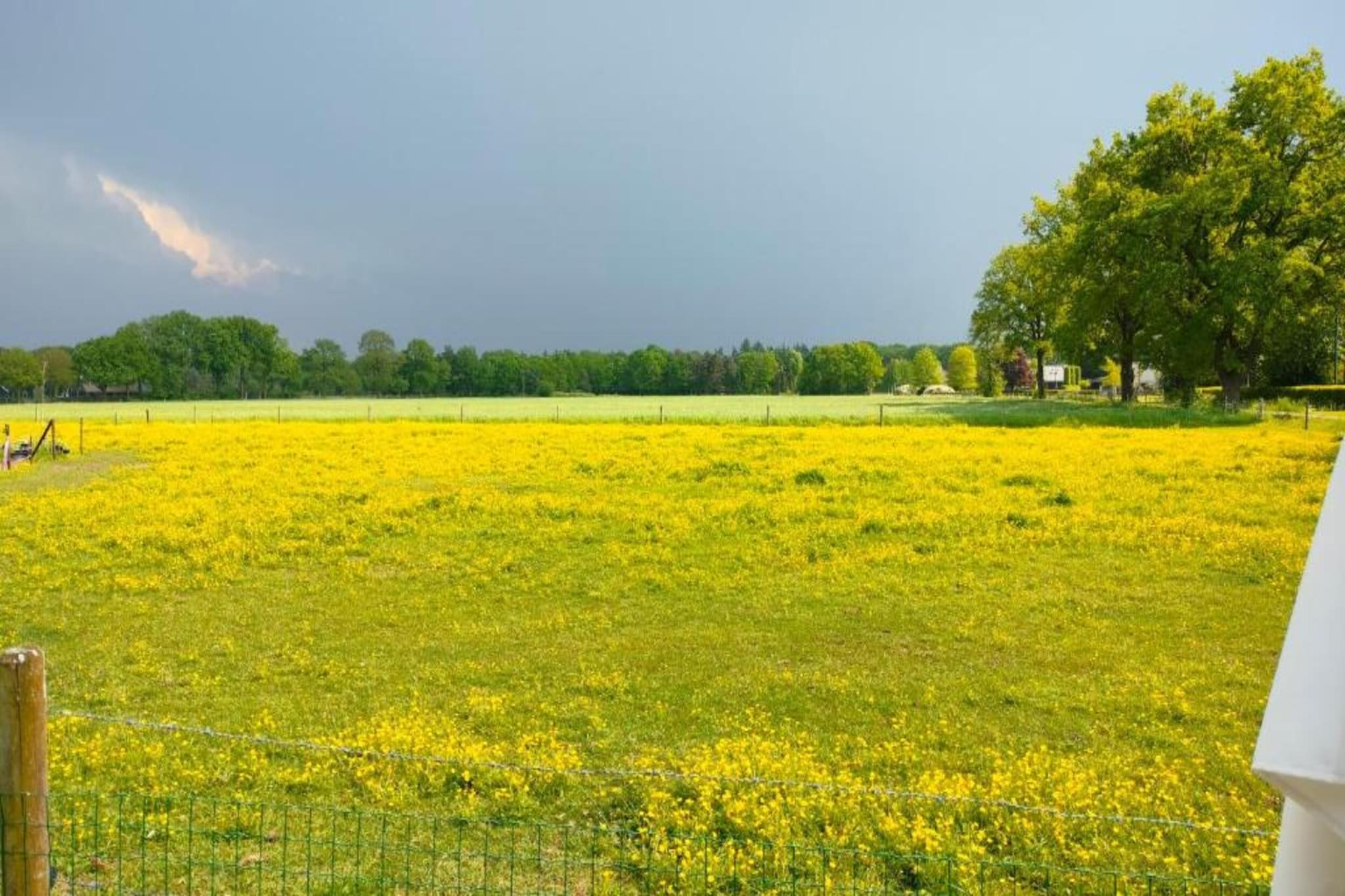 Landgoed De Scheleberg 12-Gebiete Sommer 20 km