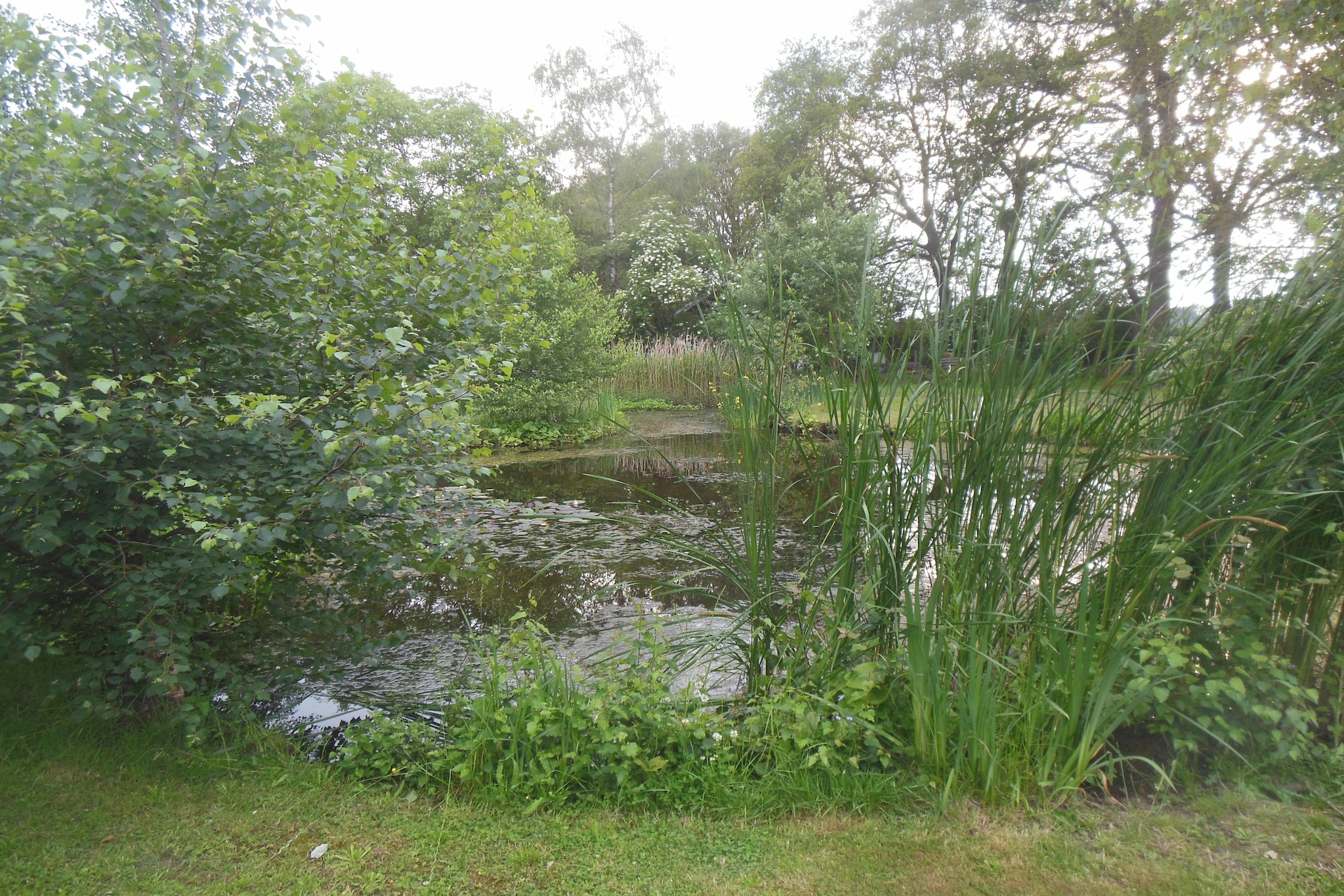 Villa Luttenberg-Tuinen zomer