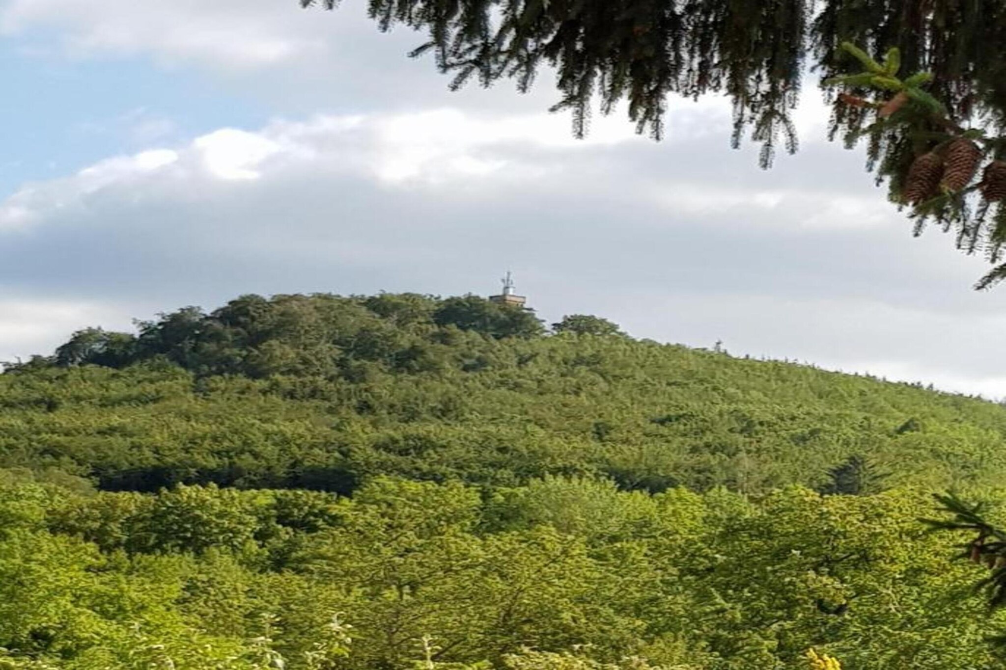 Blankenburg-Gebieden zomer 5km
