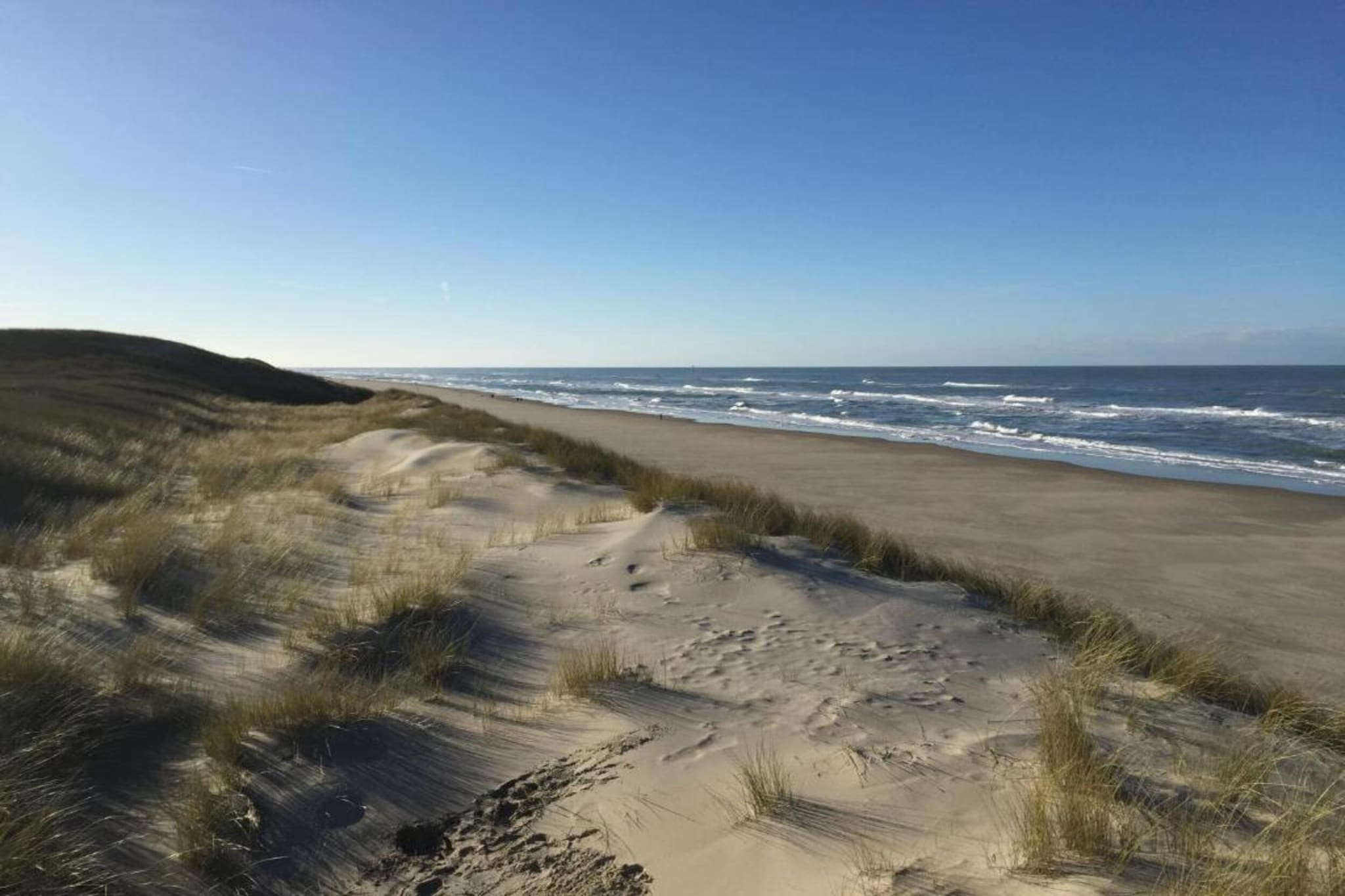 Kustpark Texel 10-Gebieden zomer 20km