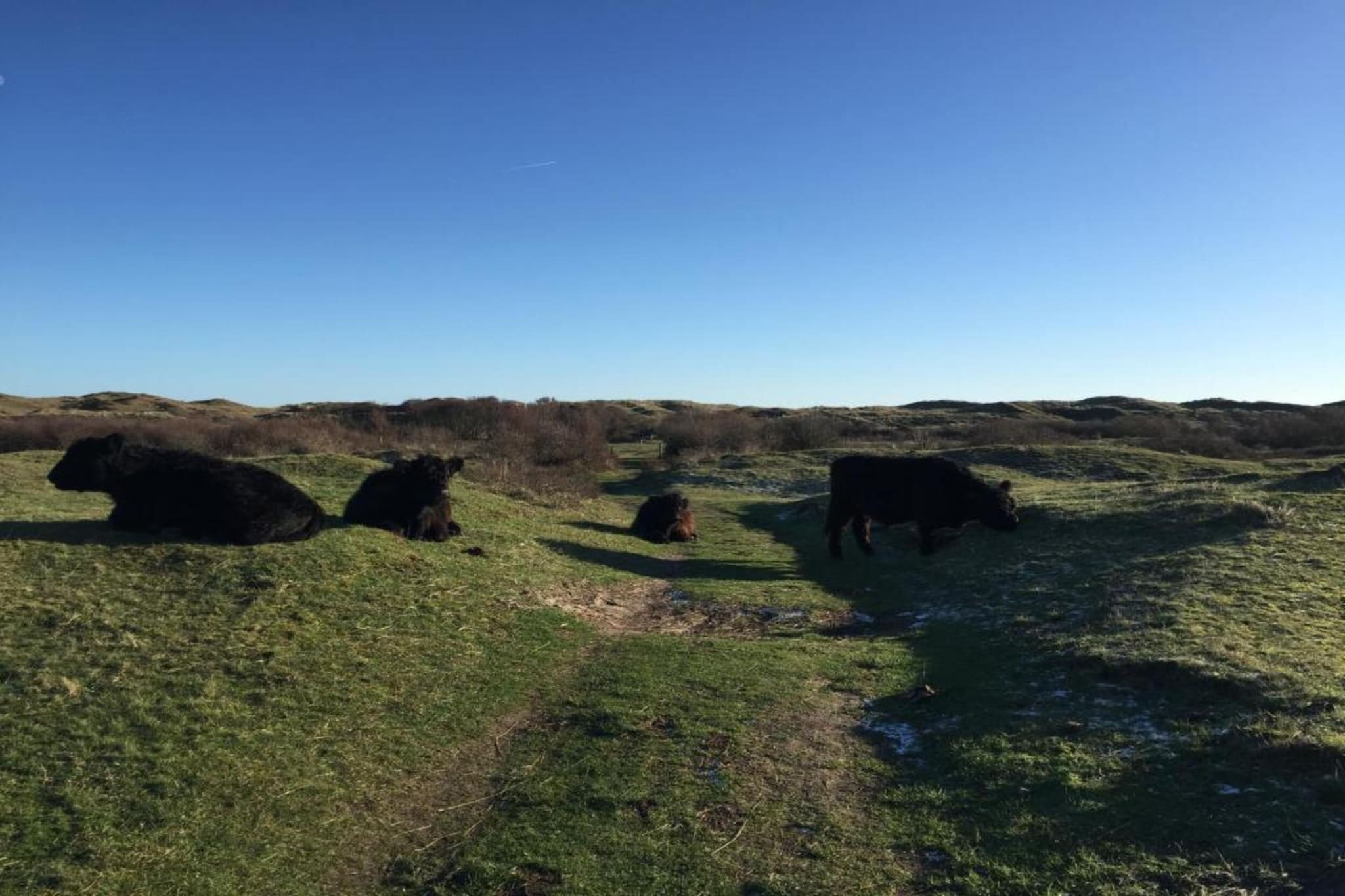 Kustpark Texel 10-Gebieden zomer 20km