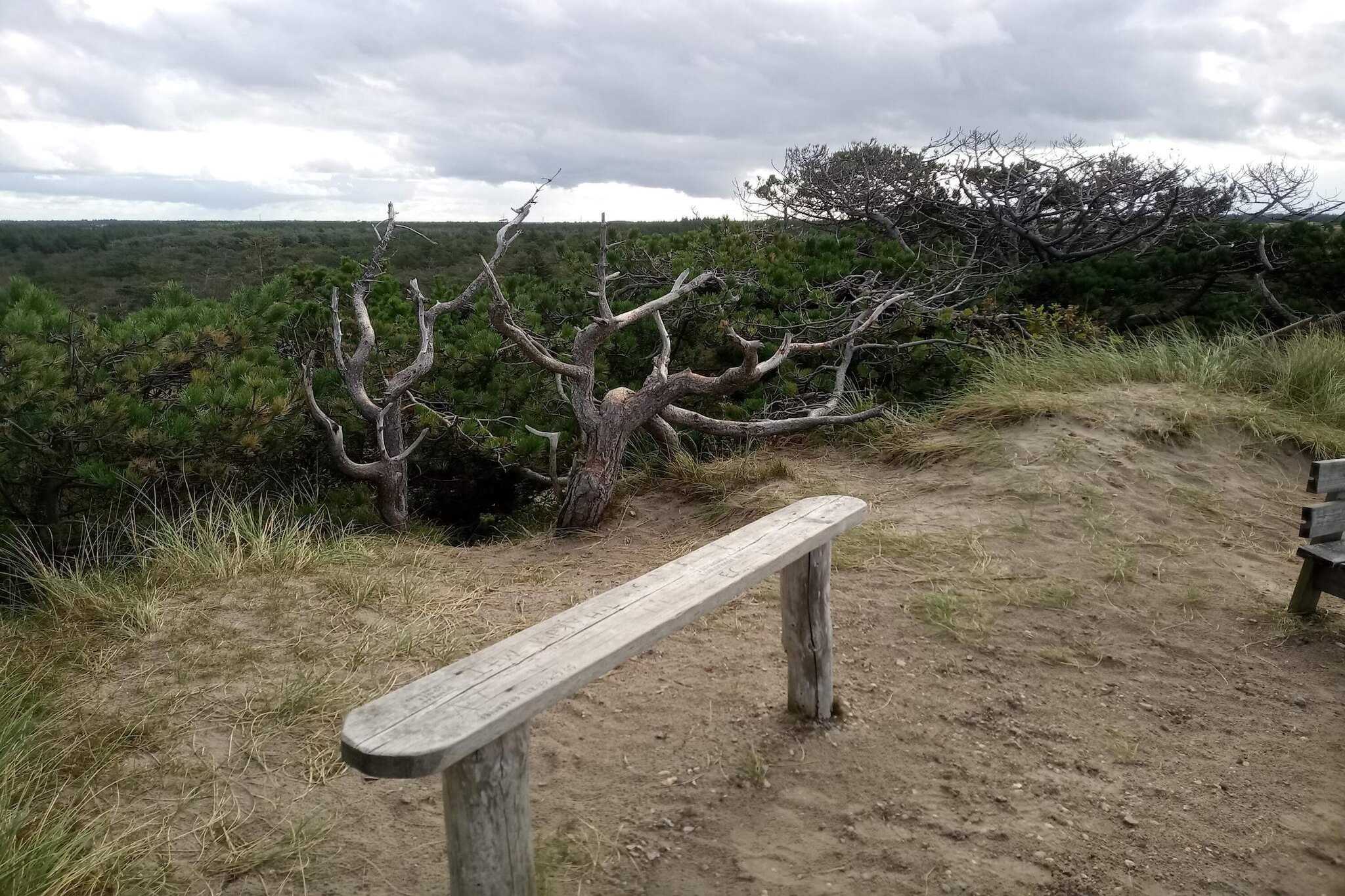 6 Personen Ferienhaus in Ulfborg-By Traum-Nicht zugeordnet