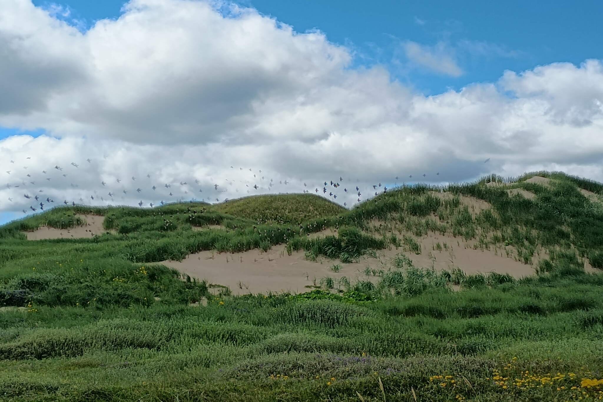 6 Personen Ferienhaus in Ulfborg-By Traum-Nicht zugeordnet
