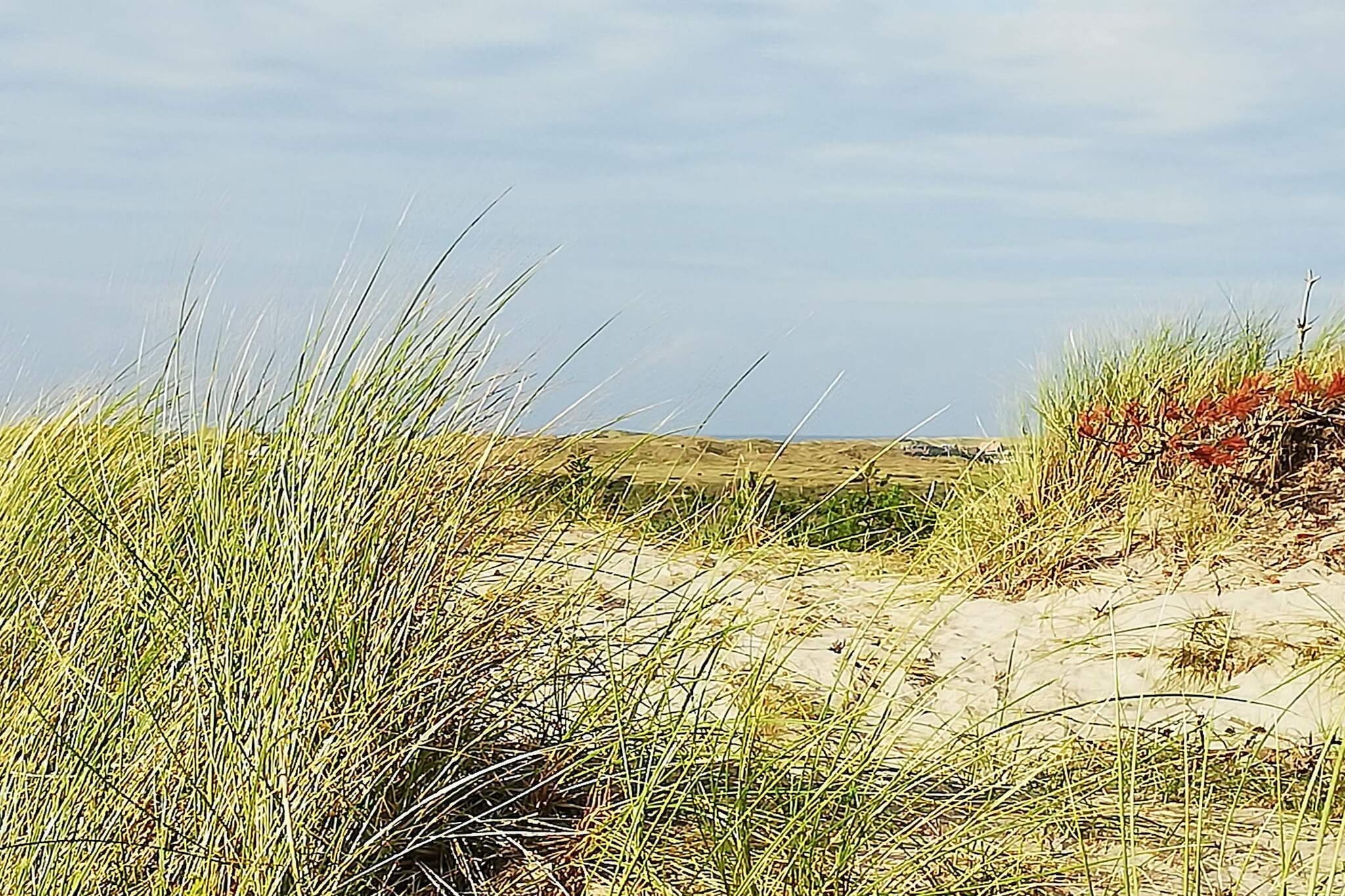 6 Personen Ferienhaus in Ulfborg-By Traum-Nicht zugeordnet