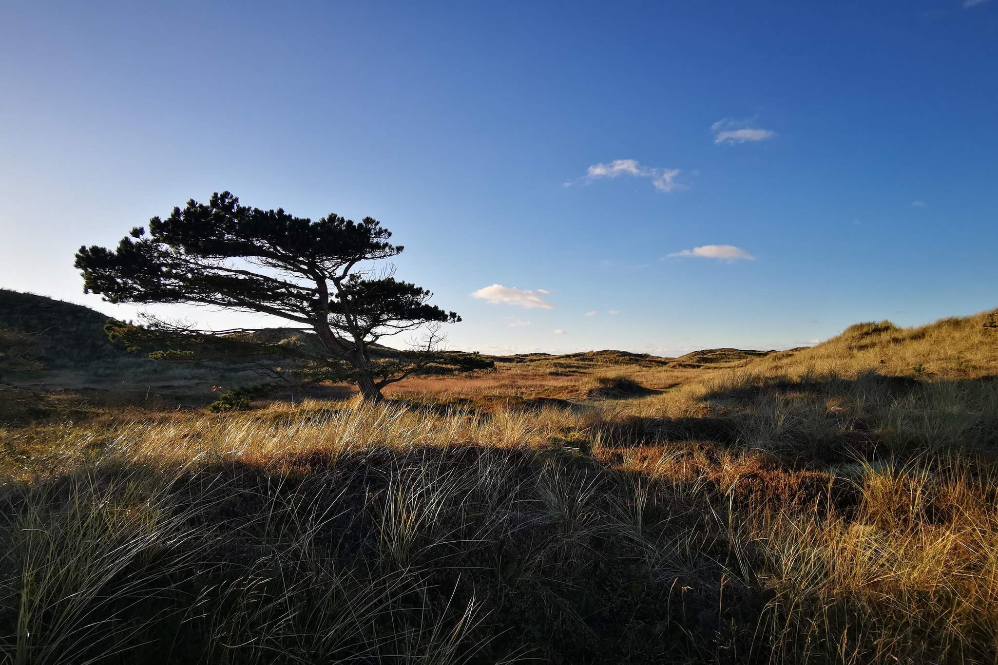 6 Personen Ferienhaus in Ulfborg-By Traum-Nicht zugeordnet