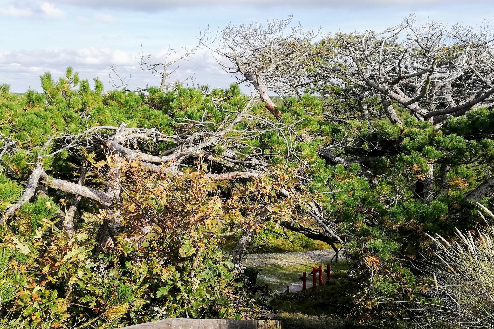 6 Personen Ferienhaus in Ulfborg-By Traum-Nicht zugeordnet