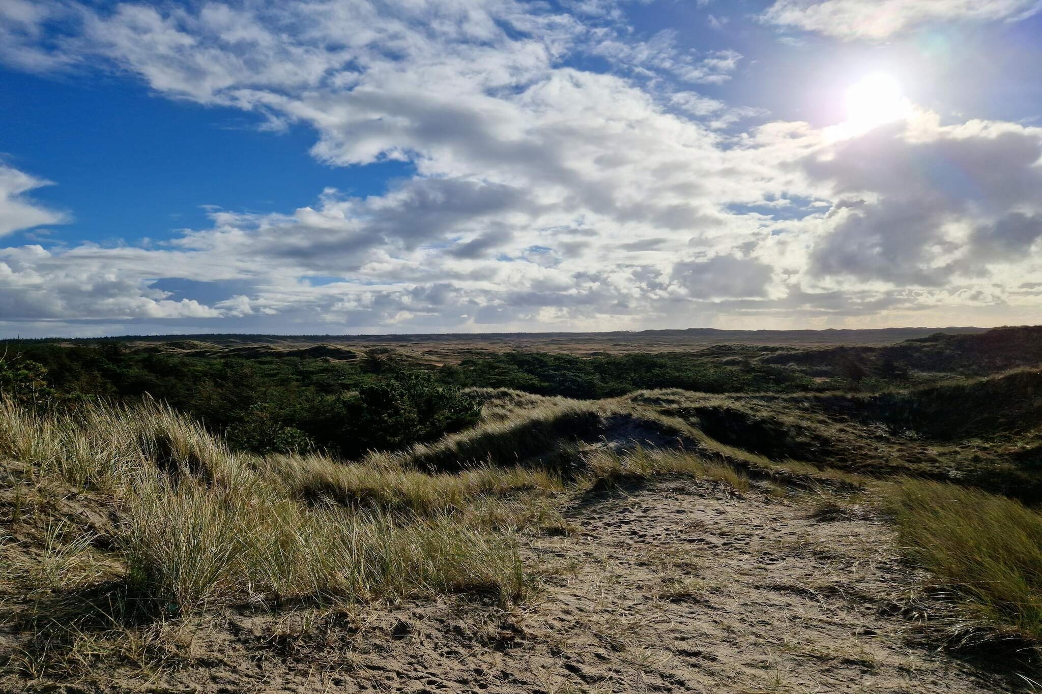 6 Personen Ferienhaus in Ulfborg-By Traum-Nicht zugeordnet