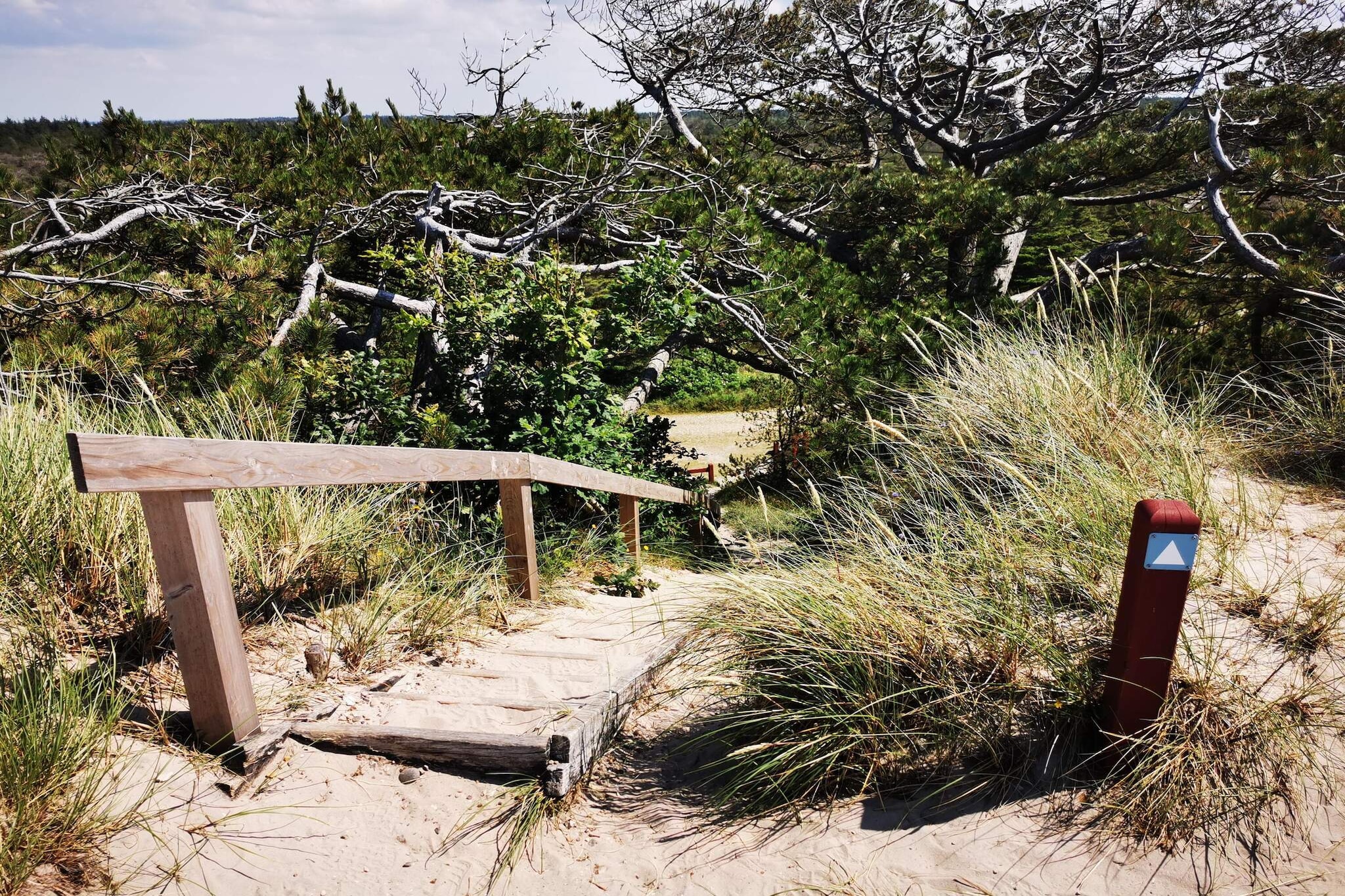 6 Personen Ferienhaus in Ulfborg-By Traum-Nicht zugeordnet