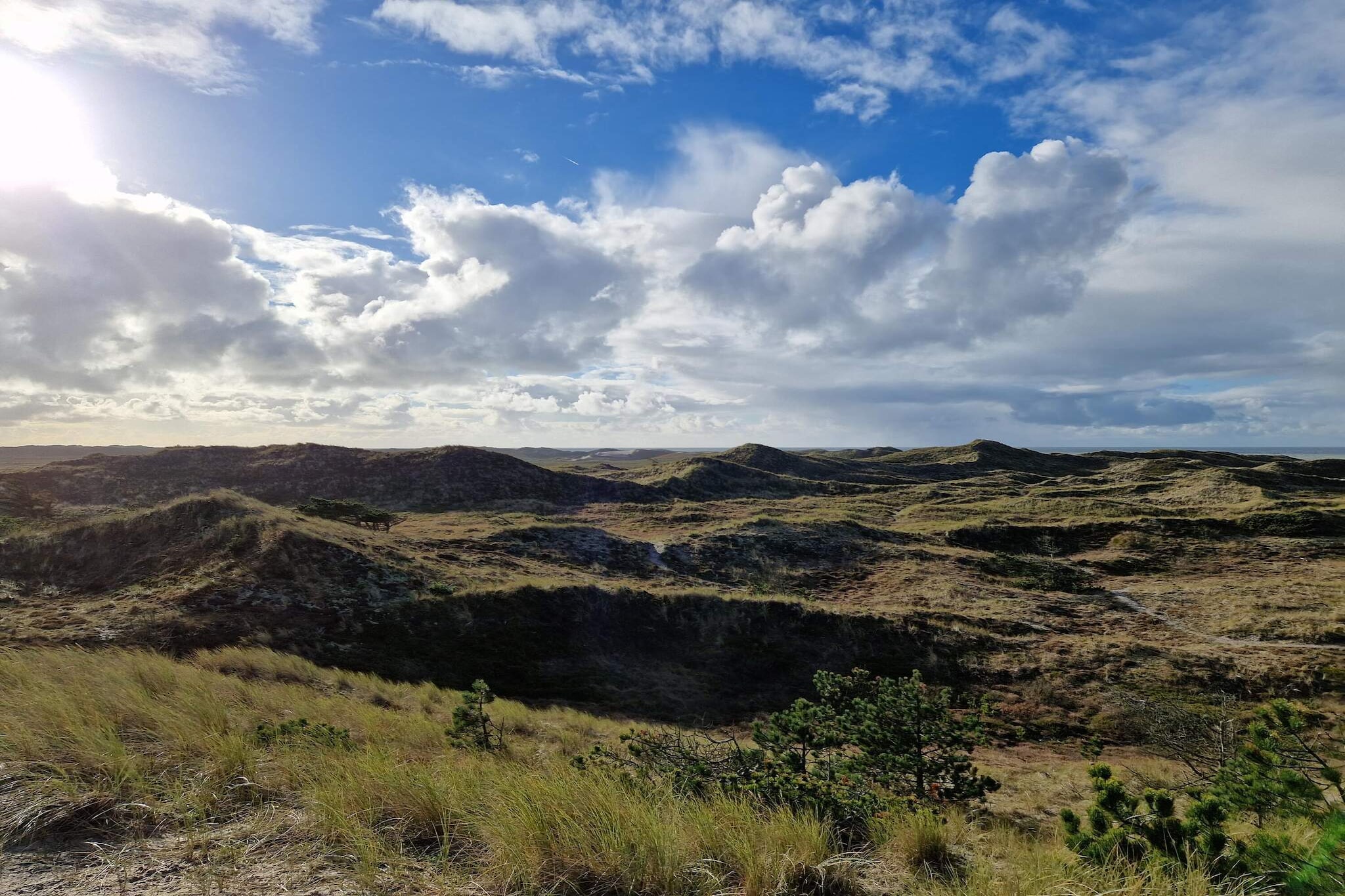 6 Personen Ferienhaus in Ulfborg-By Traum-Nicht zugeordnet