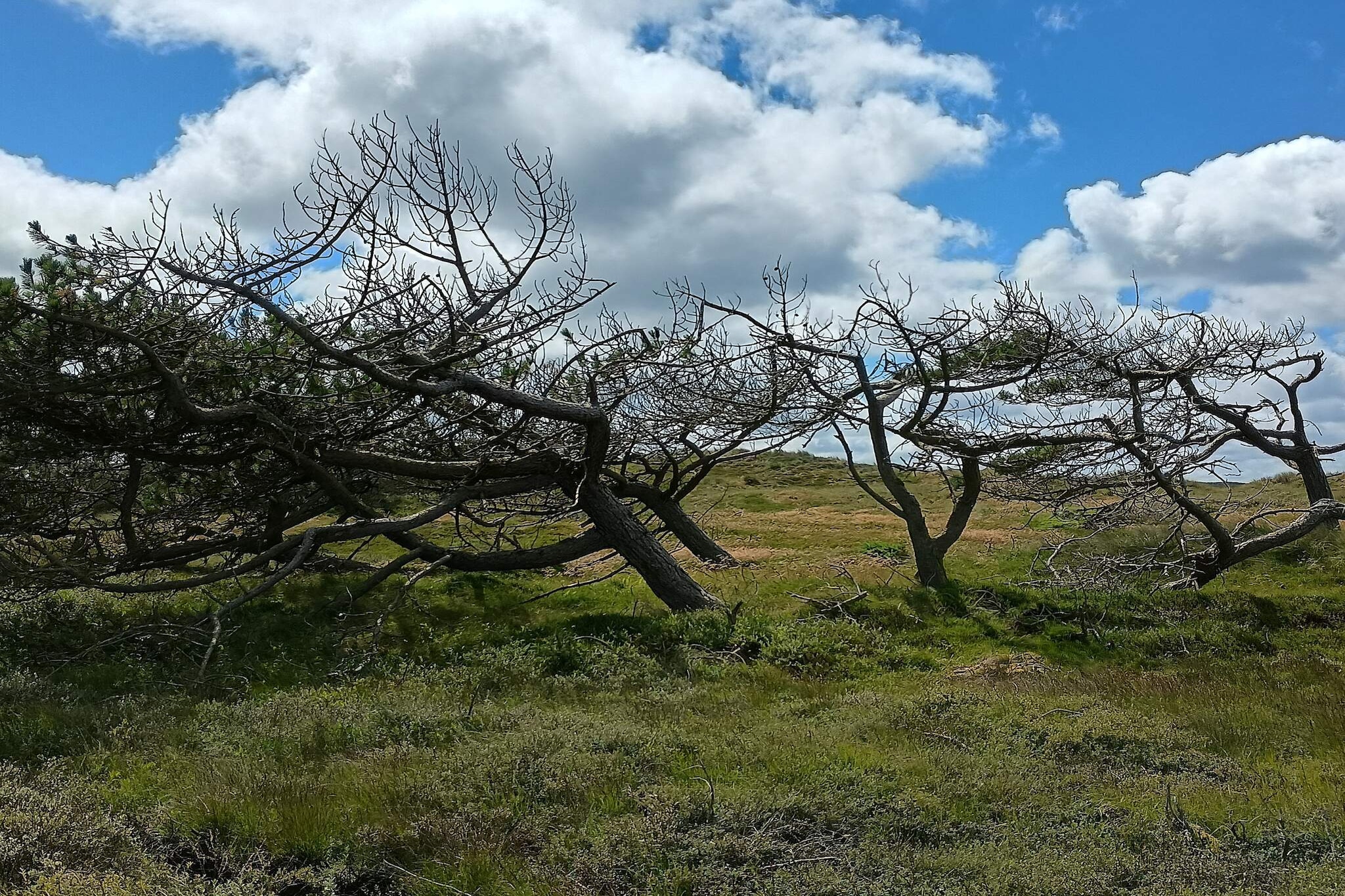 6 Personen Ferienhaus in Ulfborg-By Traum-Nicht zugeordnet