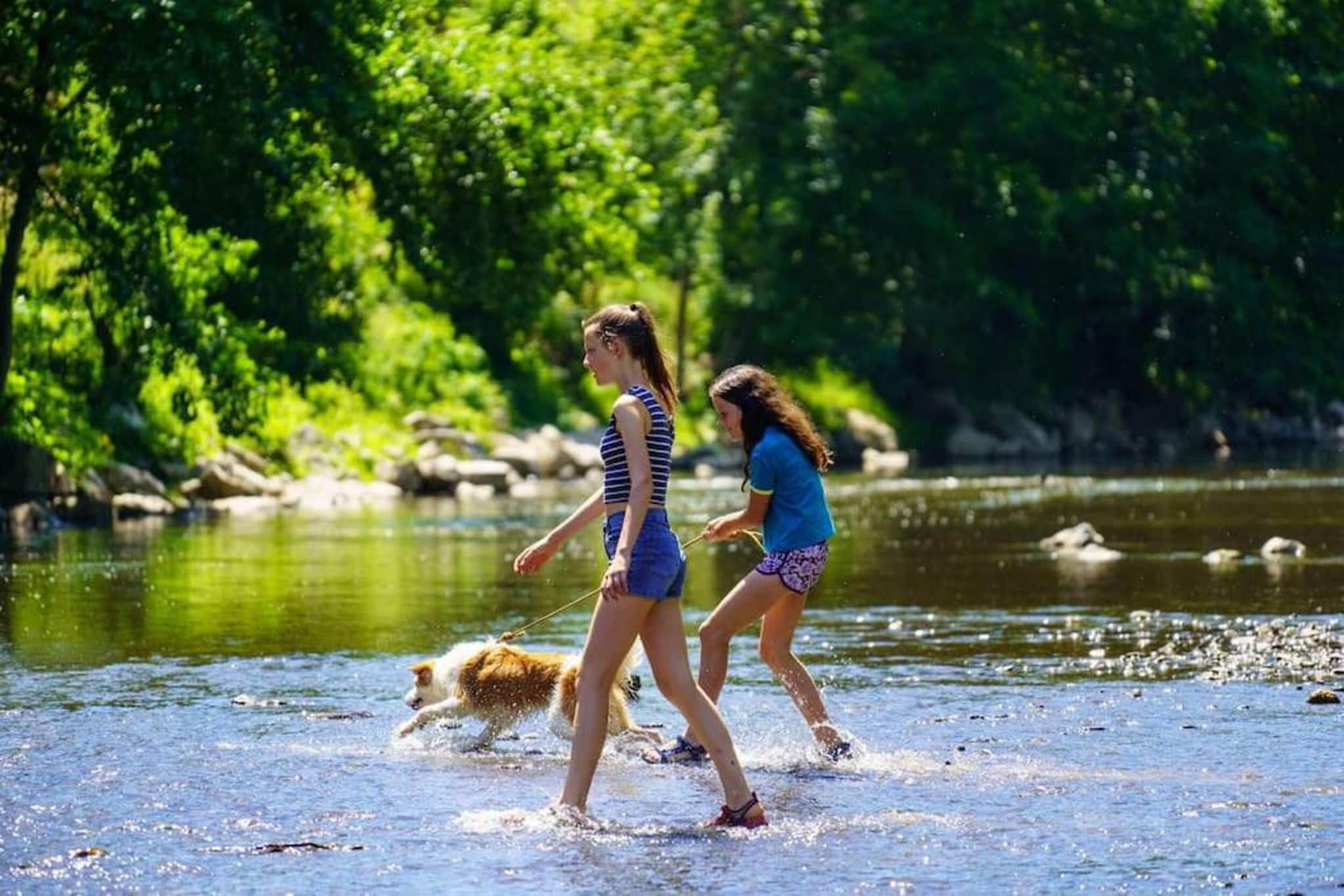 Nid des Amis-Areas summer 20km
