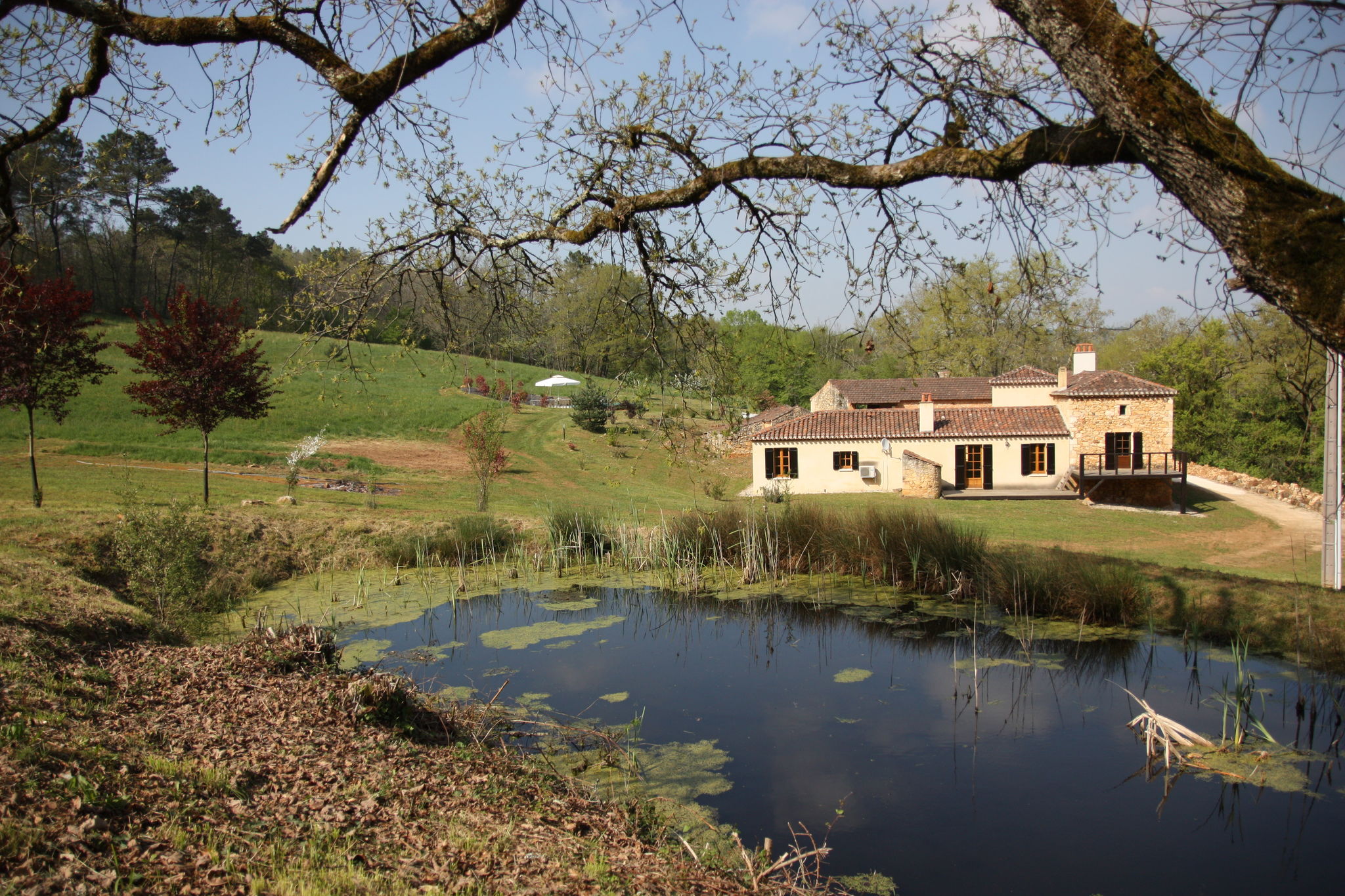 Charming holiday home with private swimming pool and fish pond.