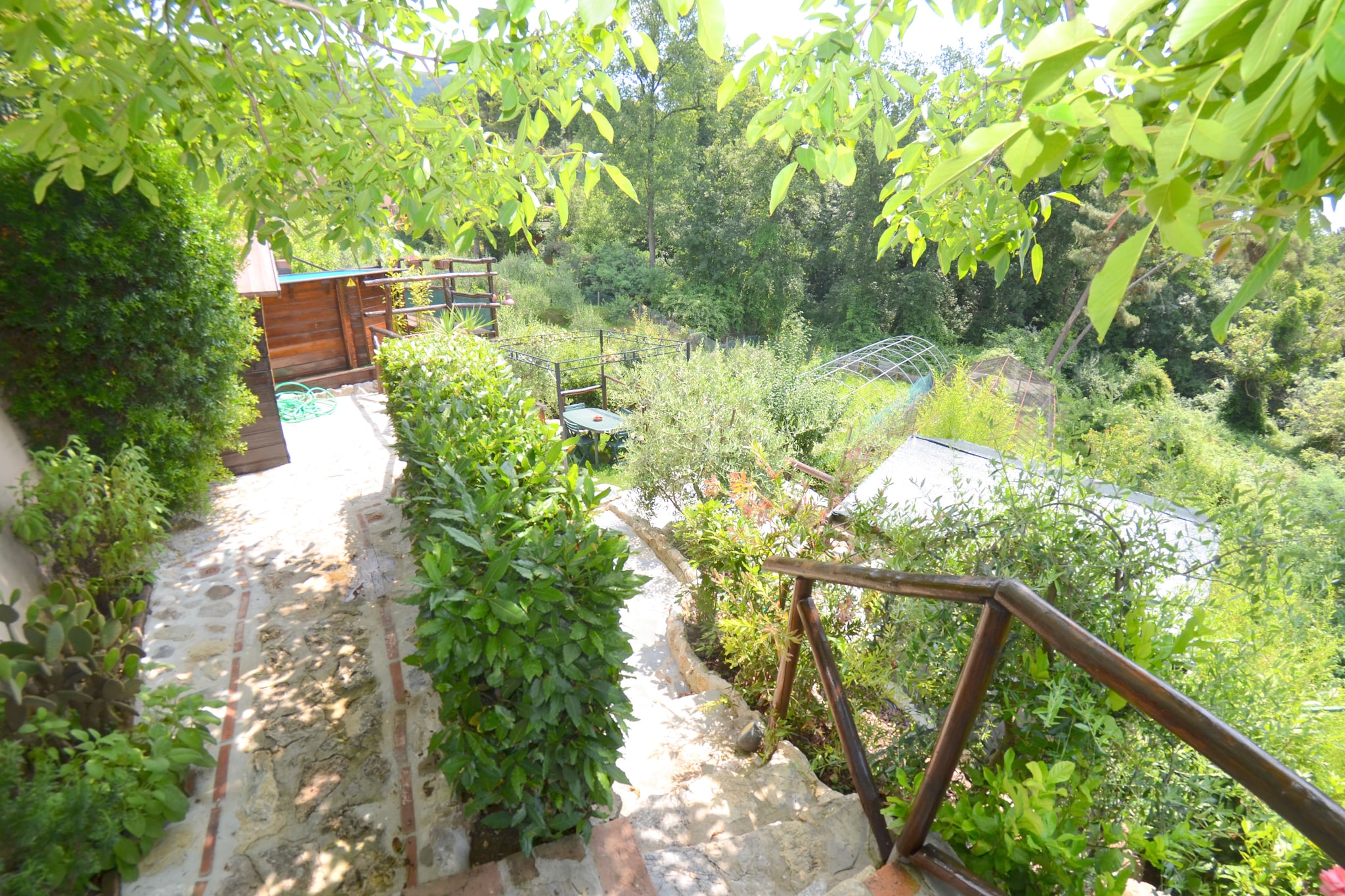 Garden Summer